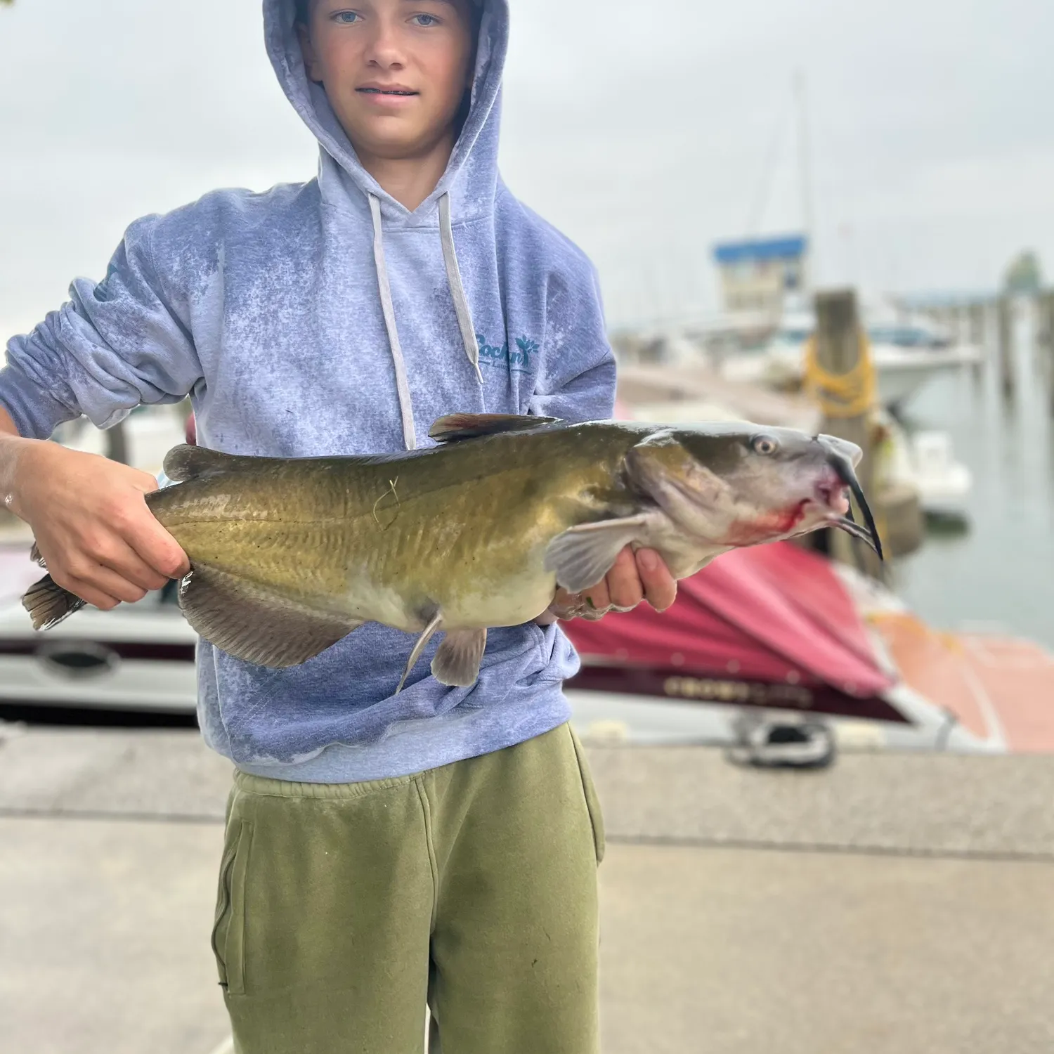 Channel catfish caught on Fishbrain