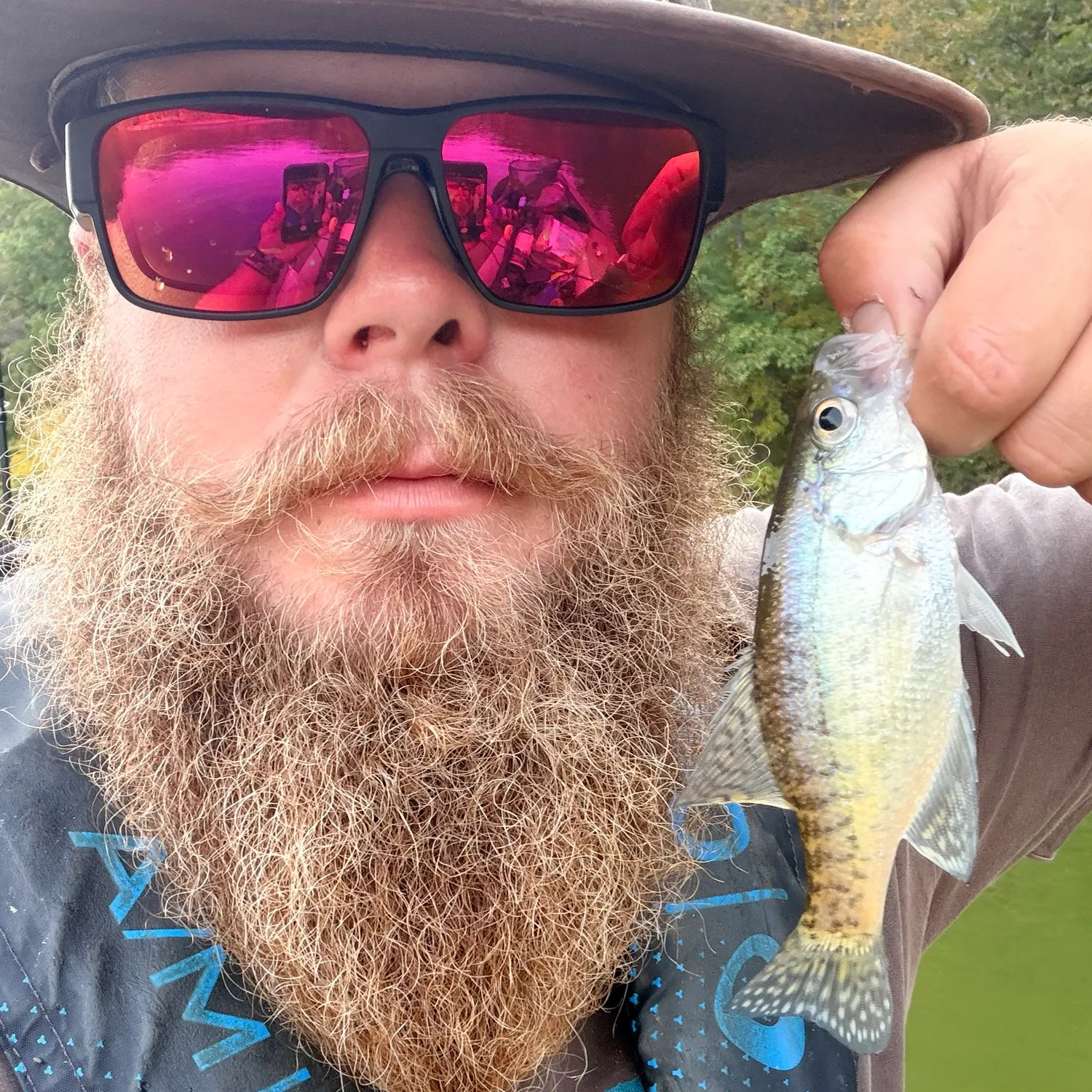 White crappie caught on Fishbrain