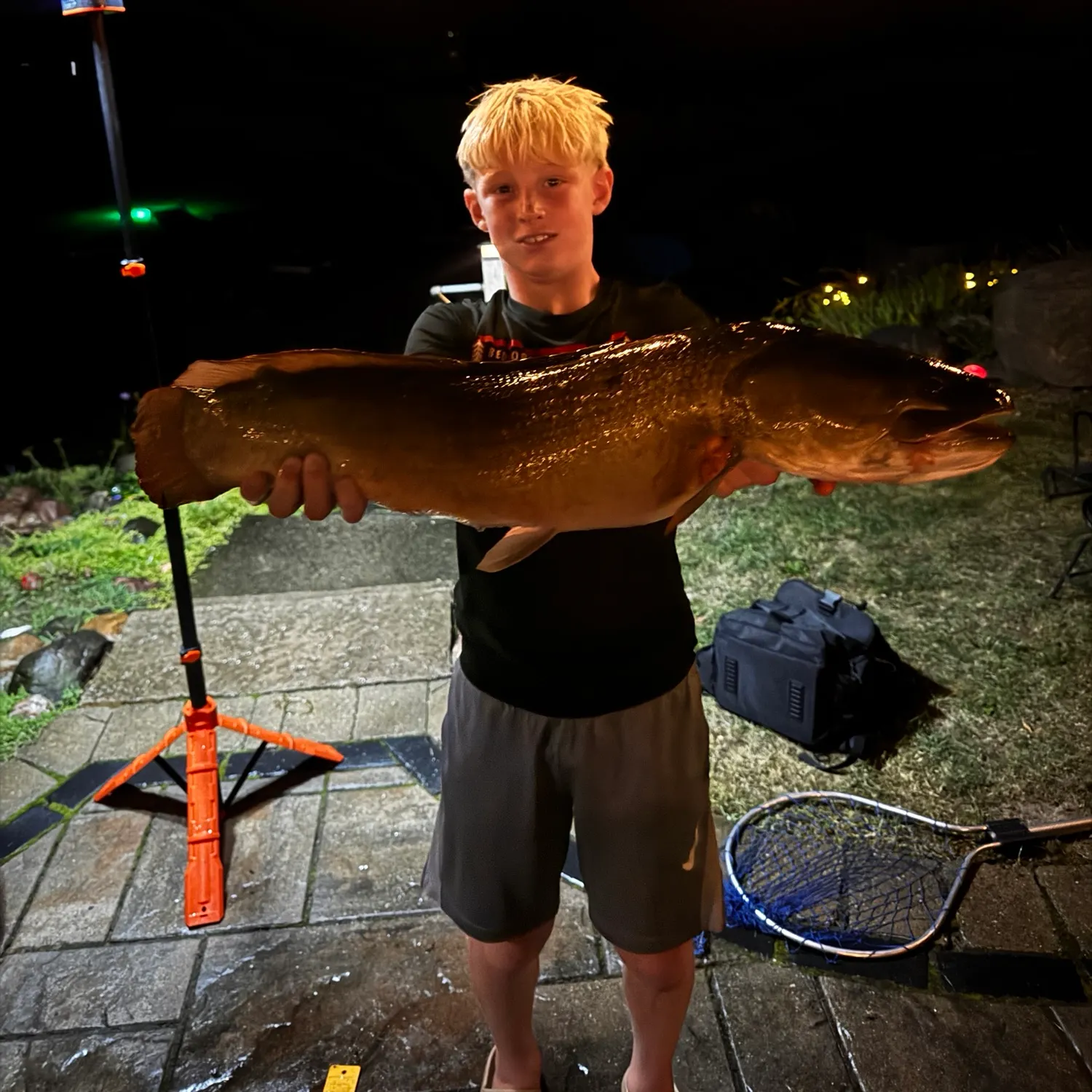 Eyetail bowfin caught on Fishbrain