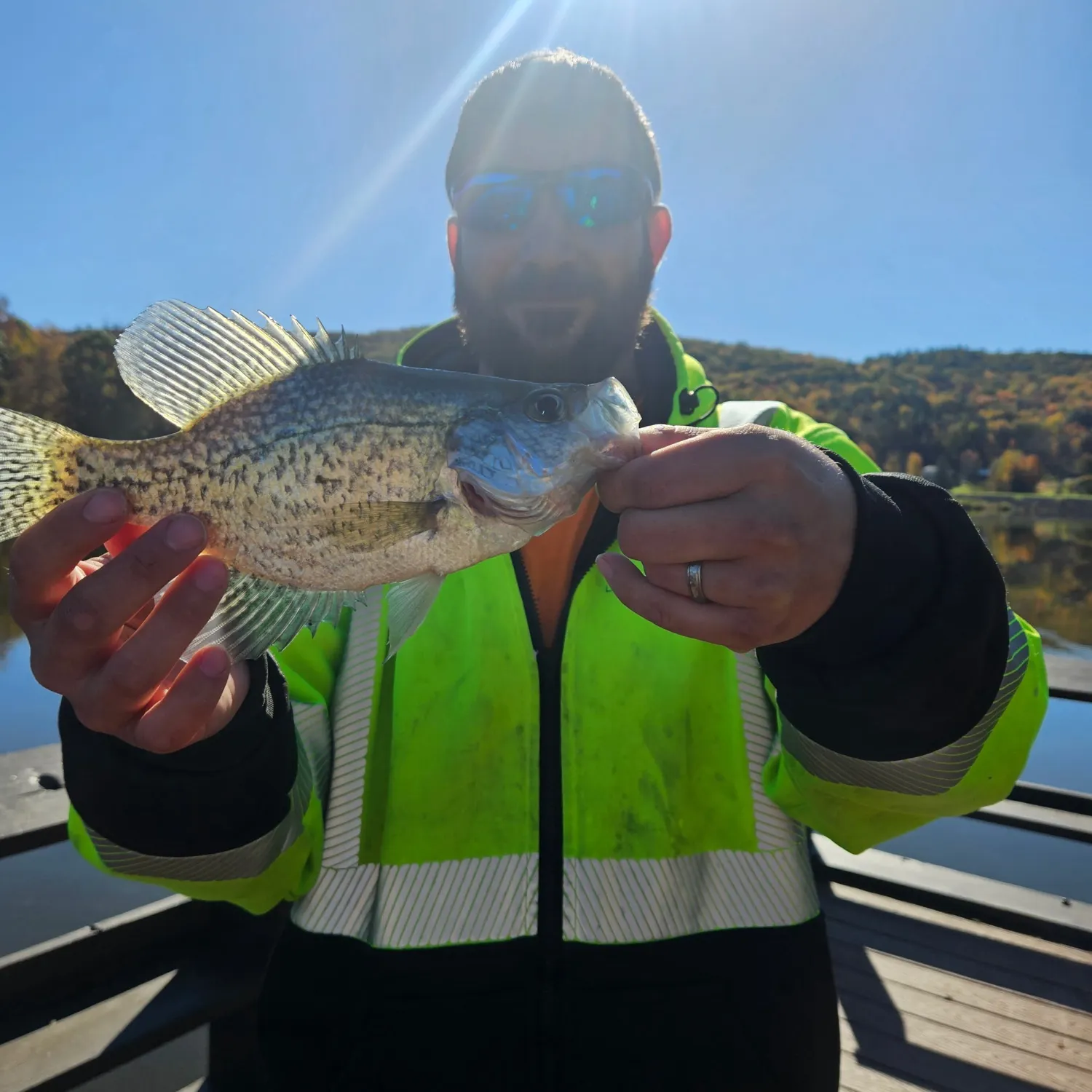 Black crappie caught on Fishbrain