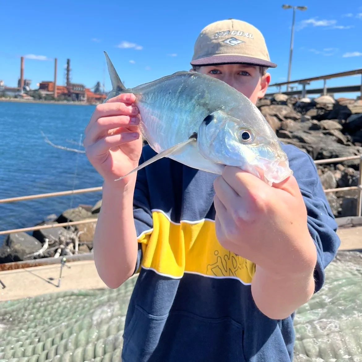 White trevally caught on Fishbrain