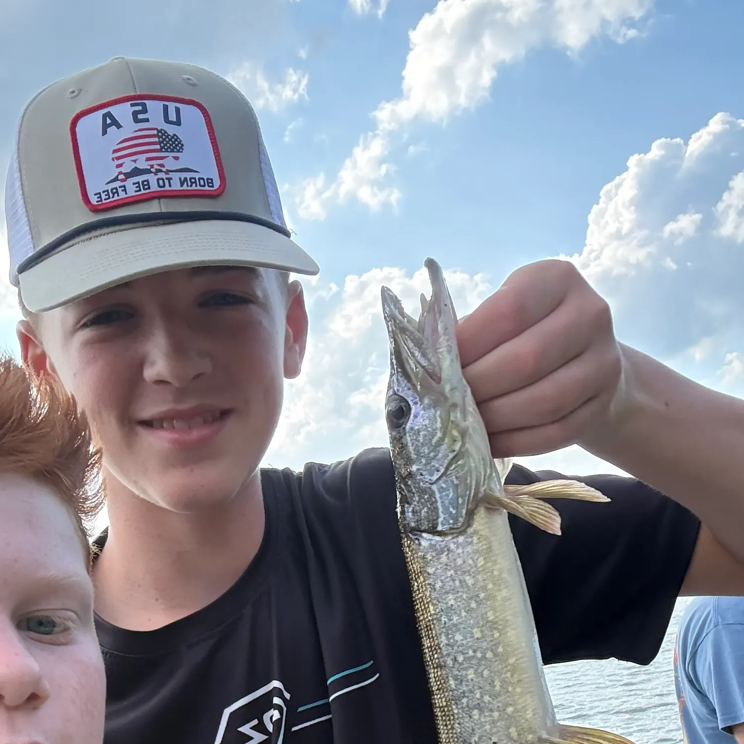 The most recent Northern pike catches on Fishbrain