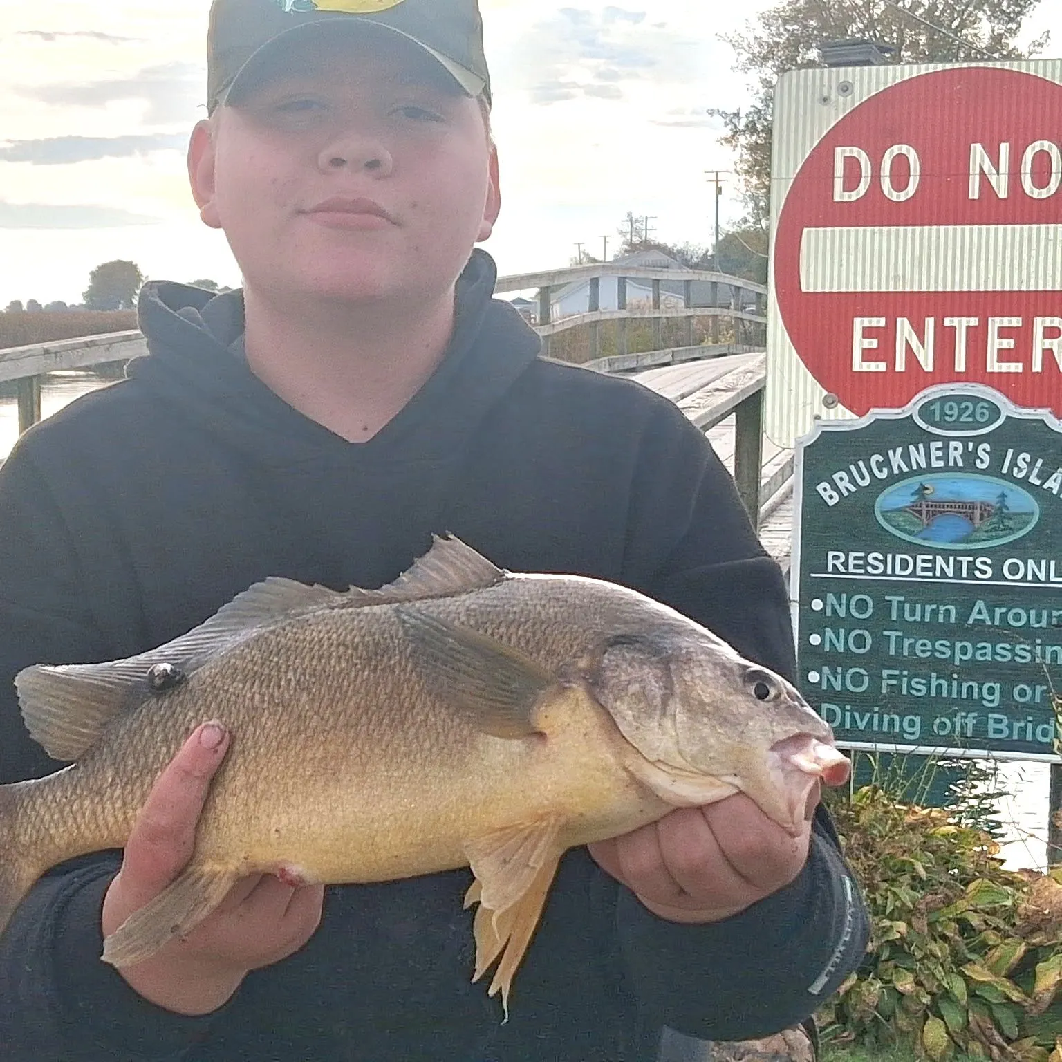 Freshwater drum caught on Fishbrain