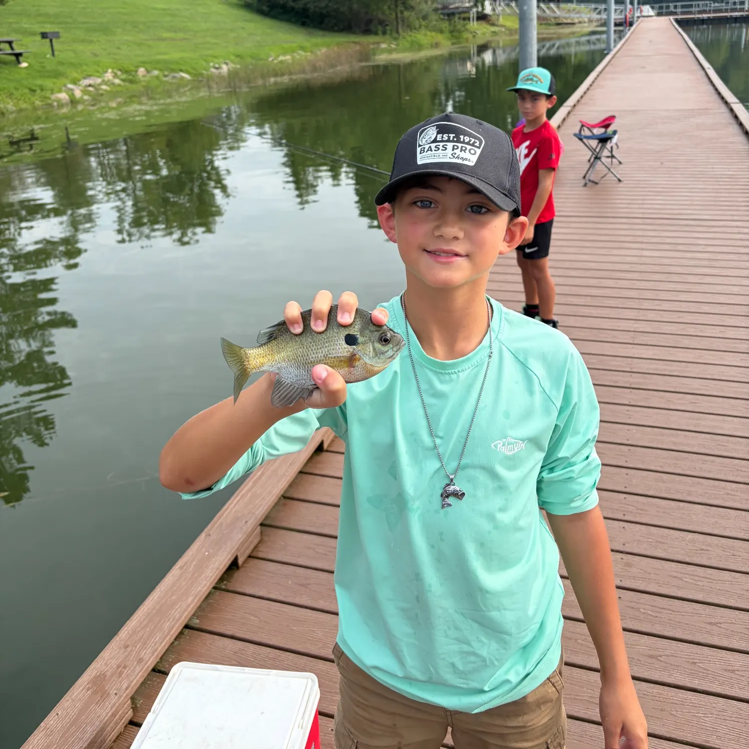 Bluegill caught on Fishbrain