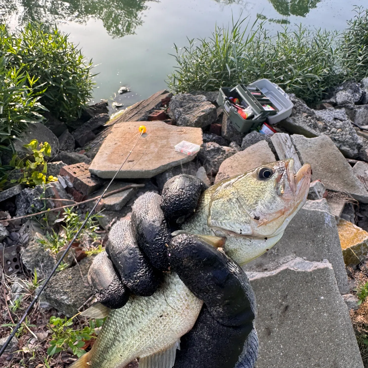 catch