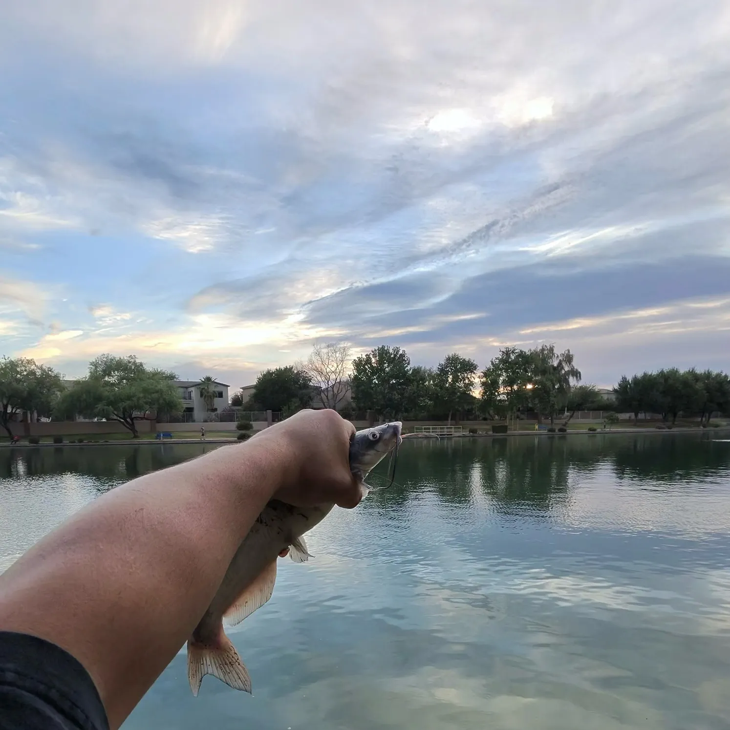 catch