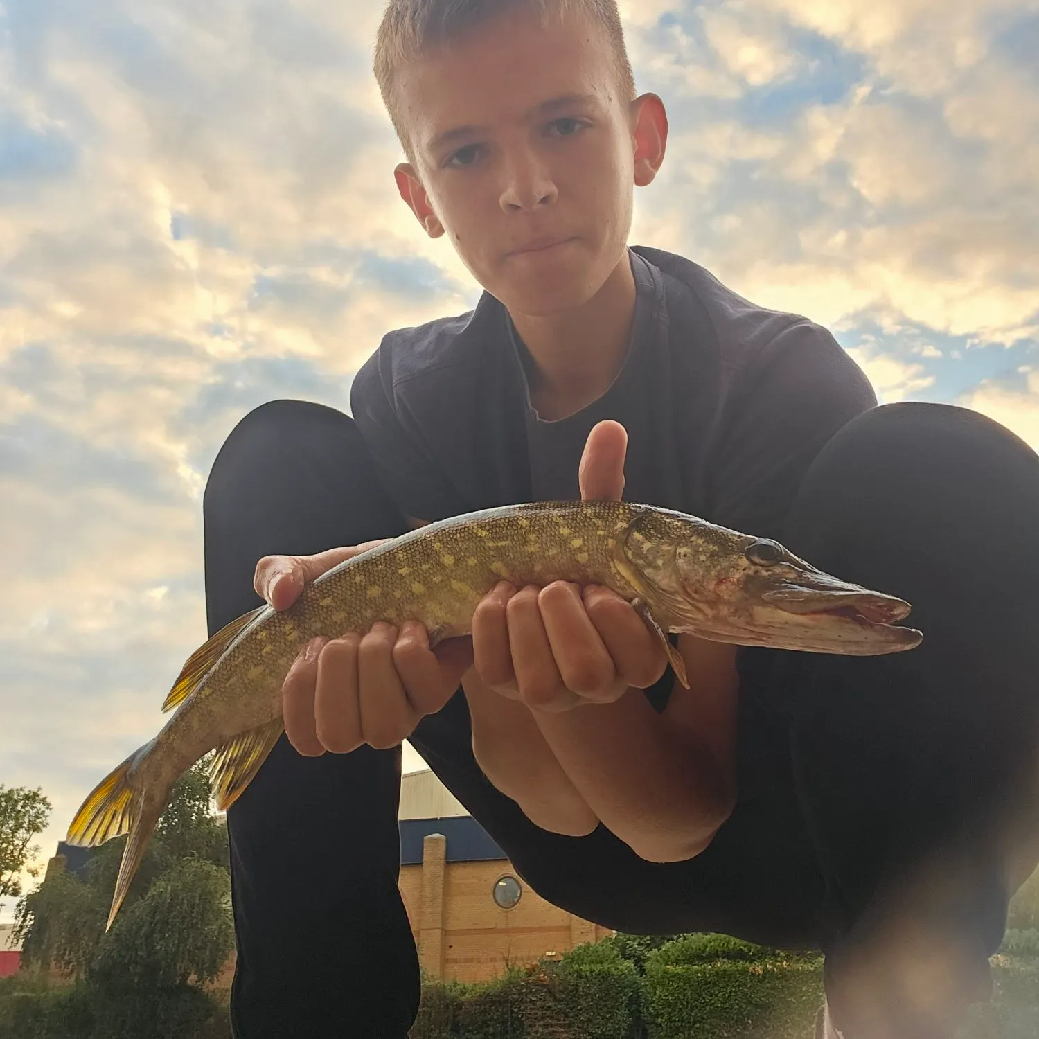 Northern pike caught on Fishbrain