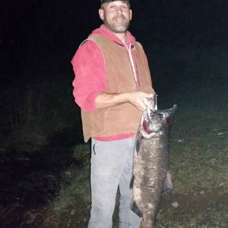 angler catch