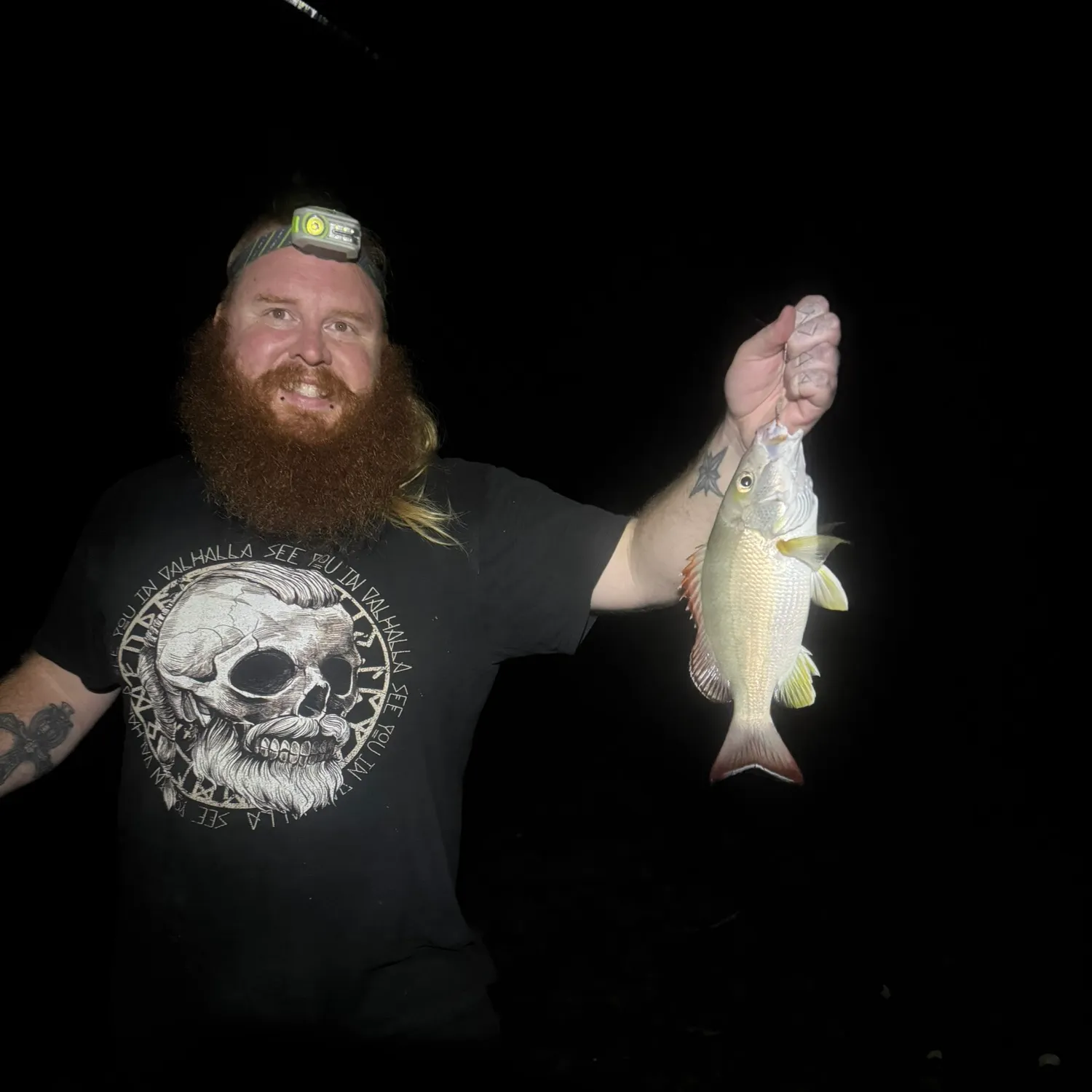 The most recent Blacktail snapper catches on Fishbrain