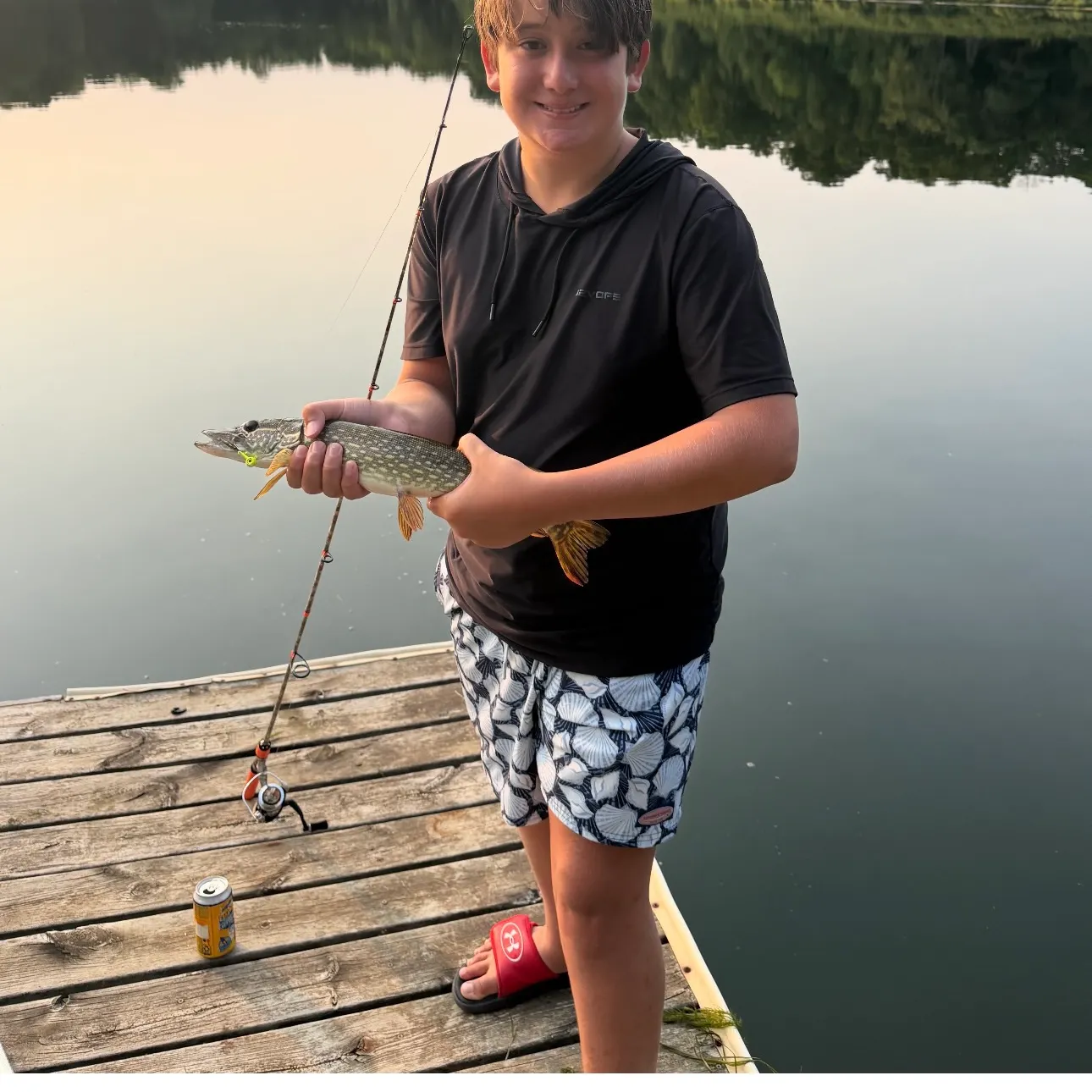 Northern pike caught on Fishbrain