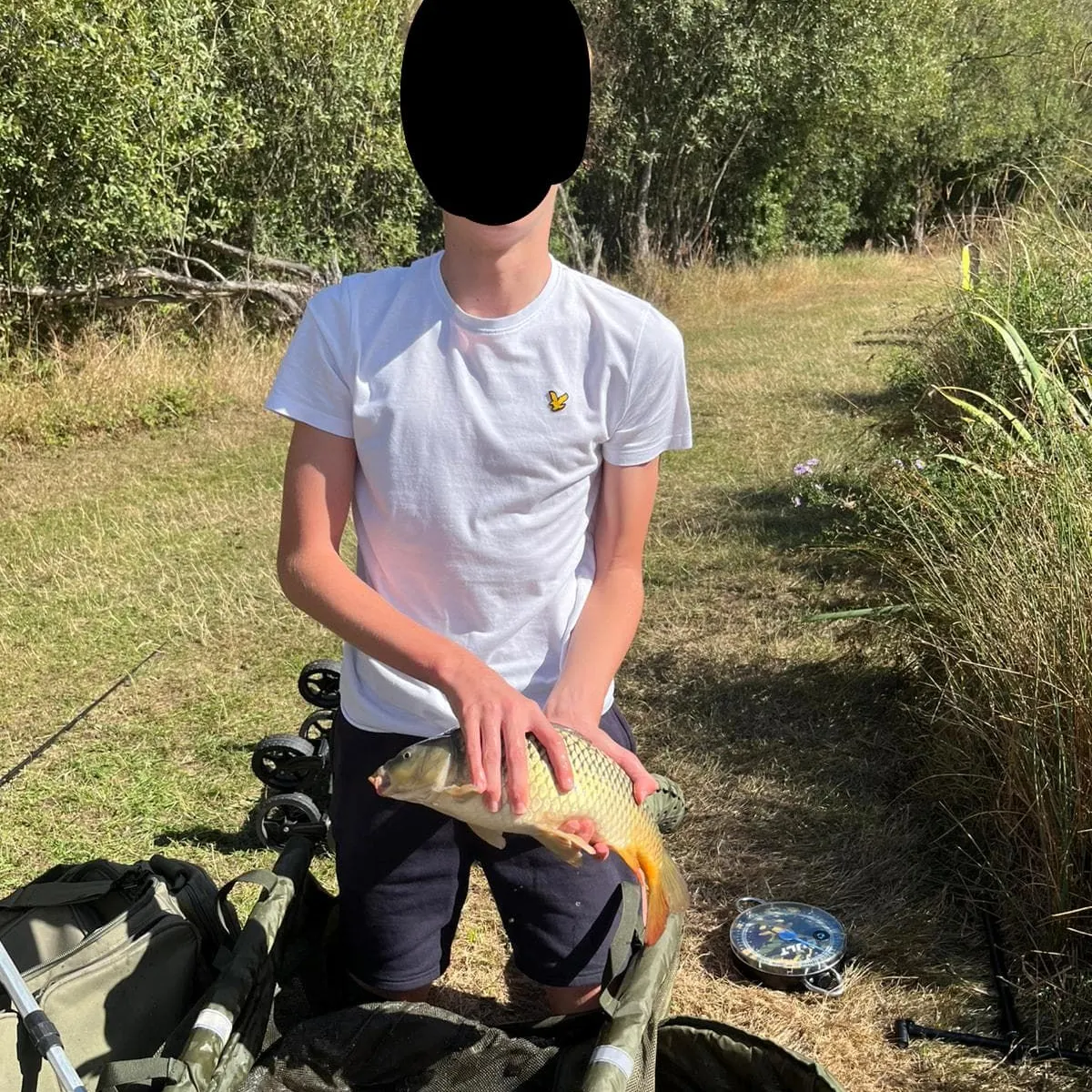 Common carp caught on Fishbrain