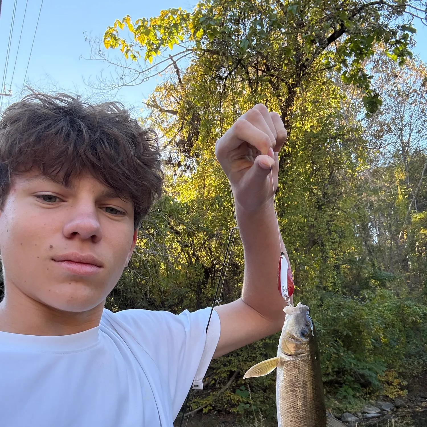 White sucker caught on Fishbrain