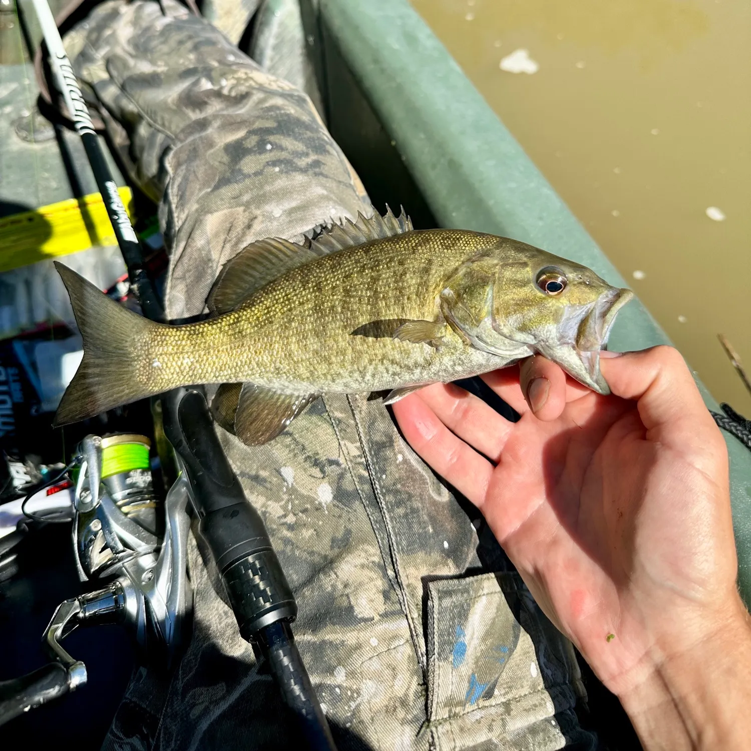 Smallmouth bass caught on Fishbrain