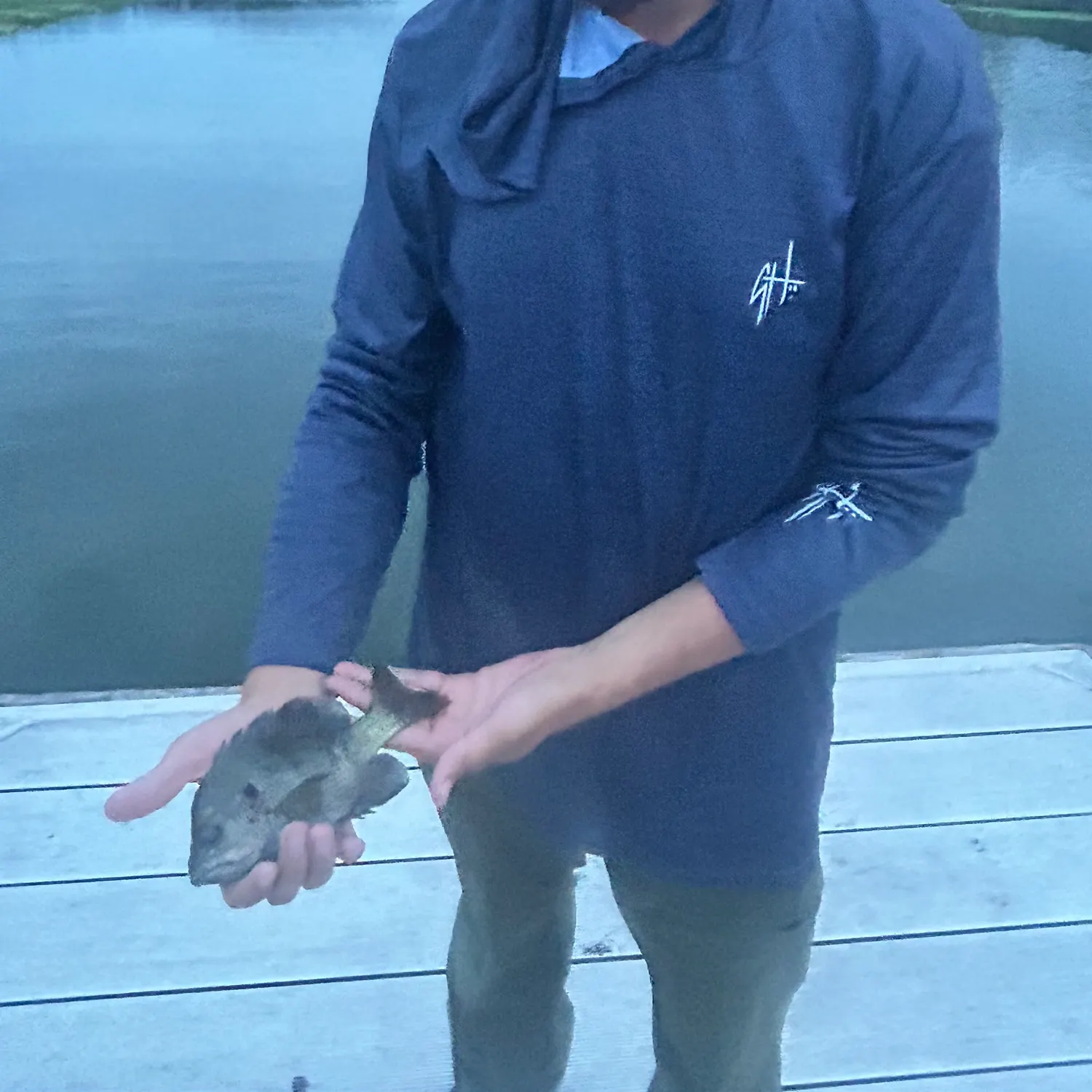 Bluegill caught on Fishbrain