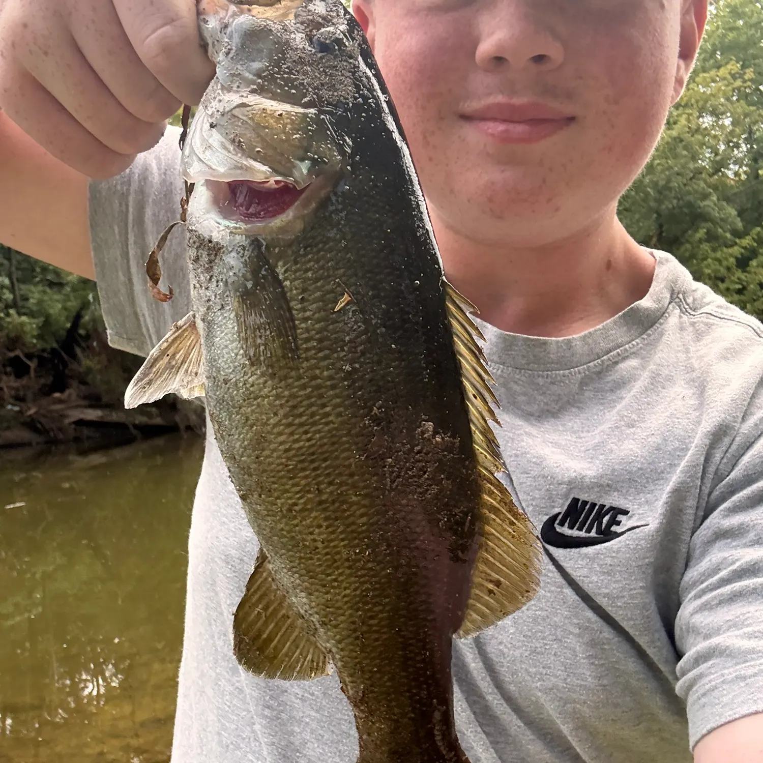 Smallmouth bass caught on Fishbrain