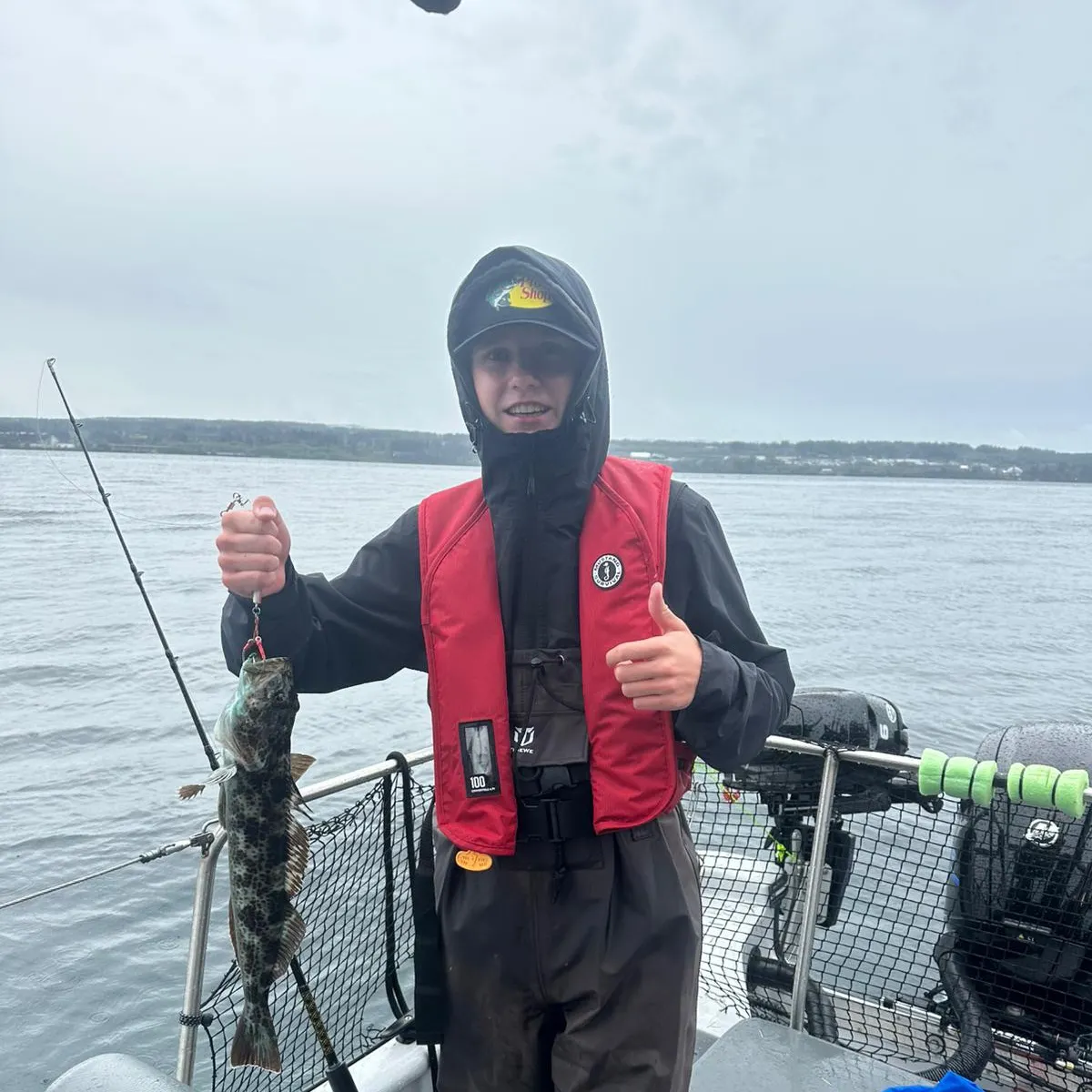 The most recent Lingcod catches on Fishbrain