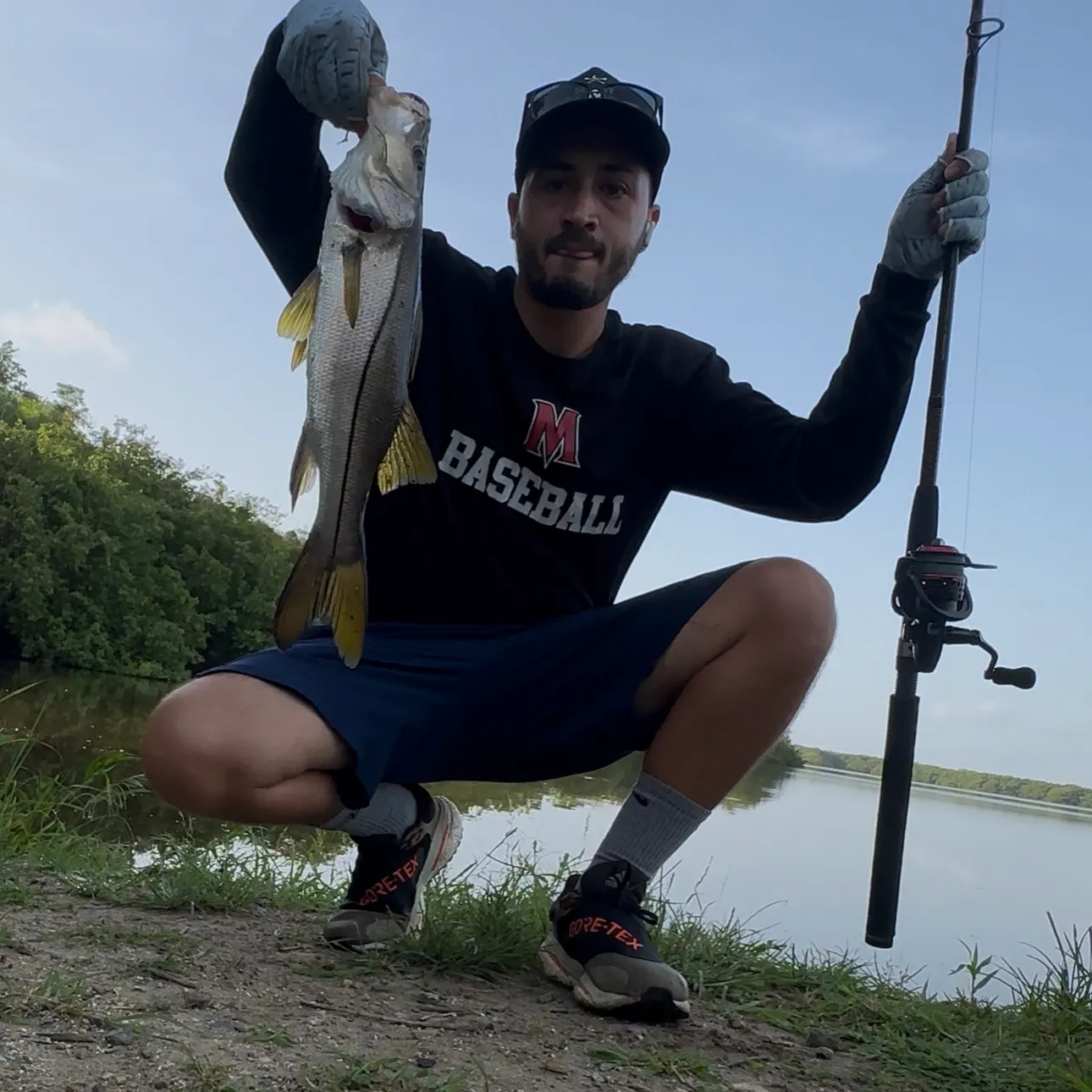The most recent Common snook catches on Fishbrain