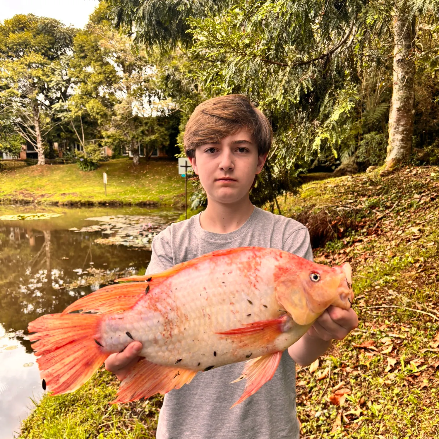 The most recent Red tilapia catches on Fishbrain