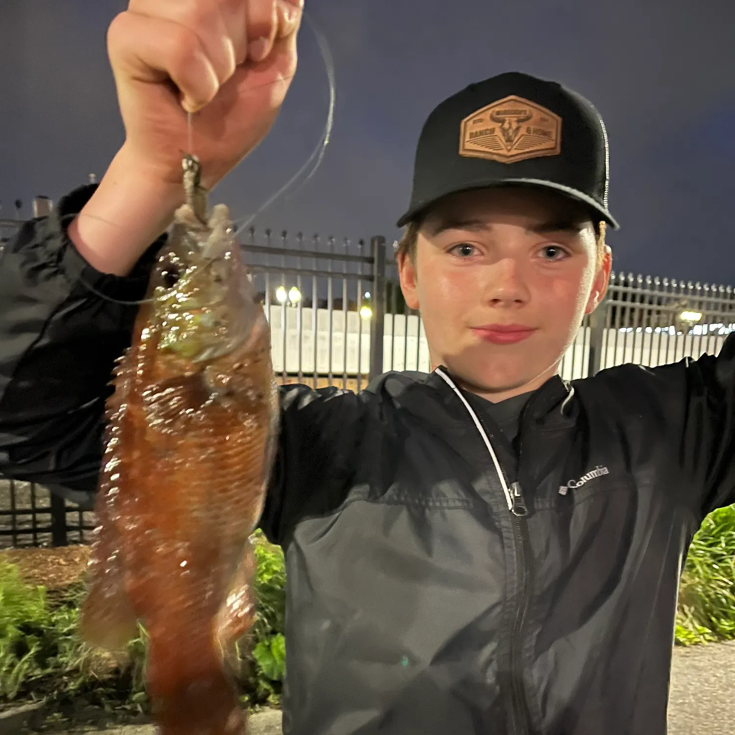 The most recent Cunner catches on Fishbrain