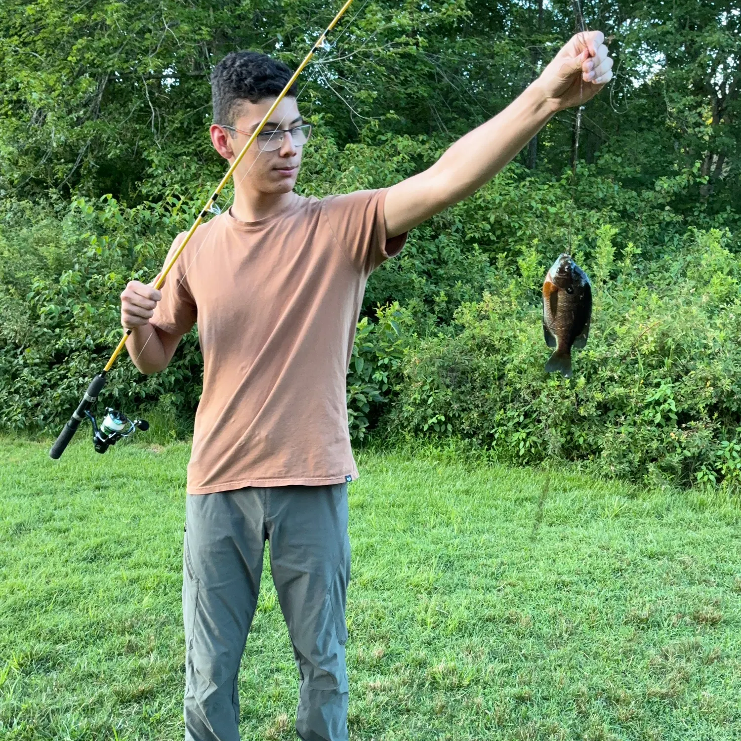 Bluegill caught on Fishbrain