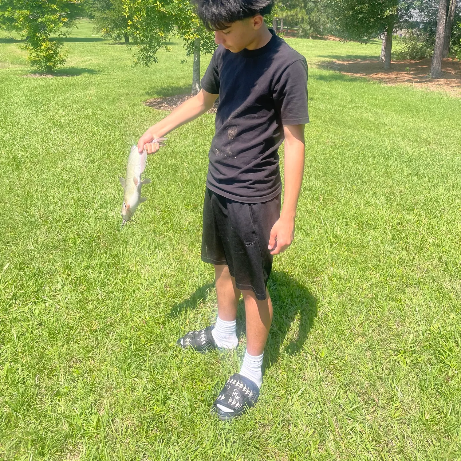 catch