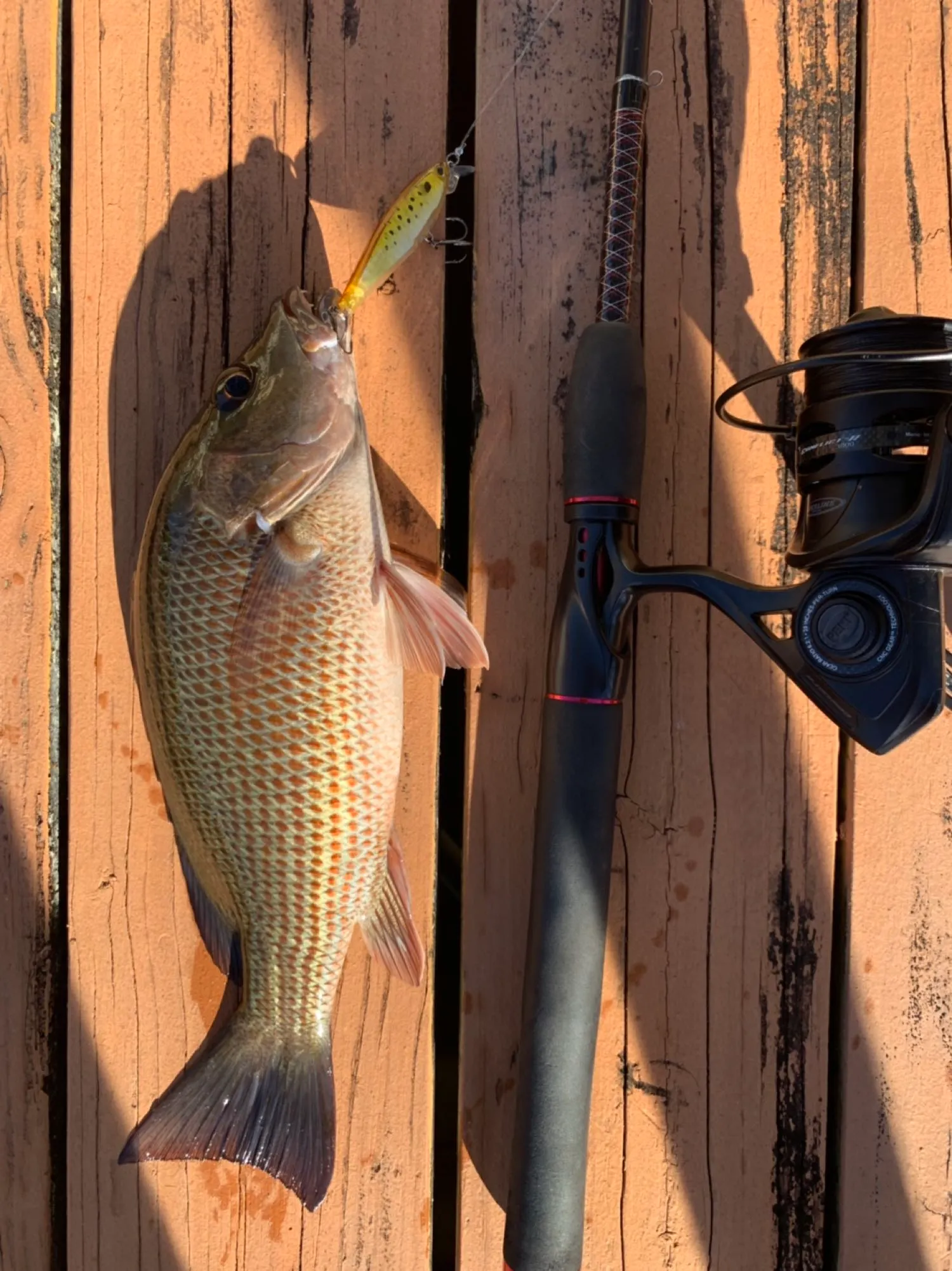 Post image from YourAverageAngler