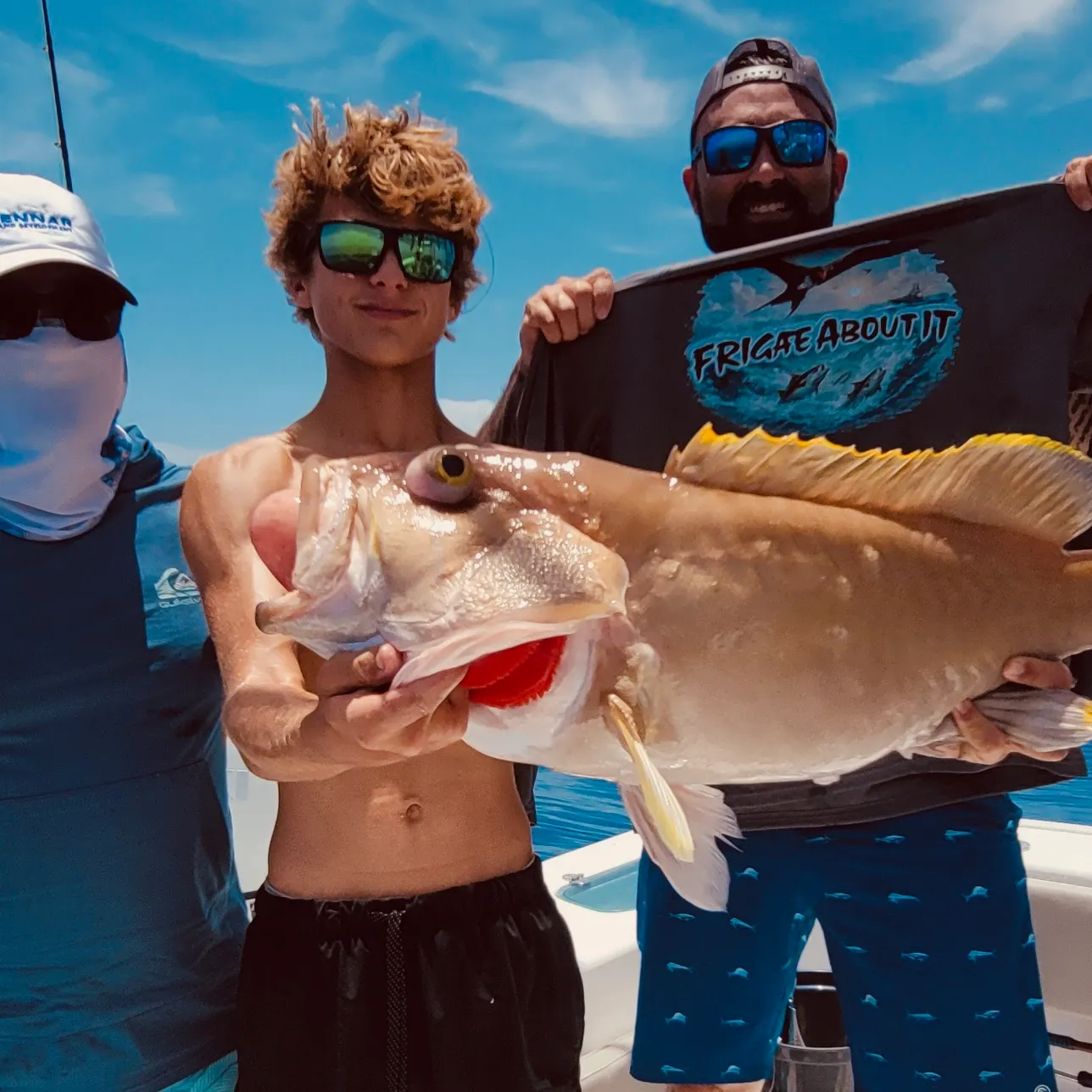 The most recent Yellowedge grouper catches on Fishbrain