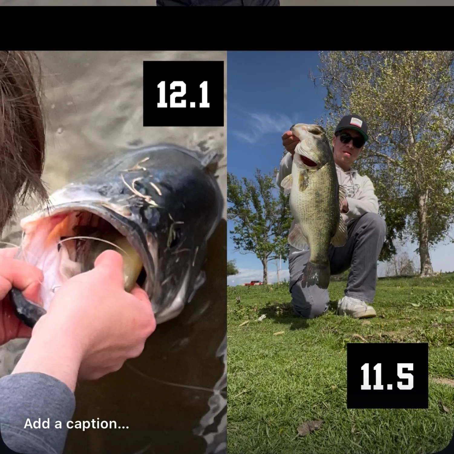 recently logged catches