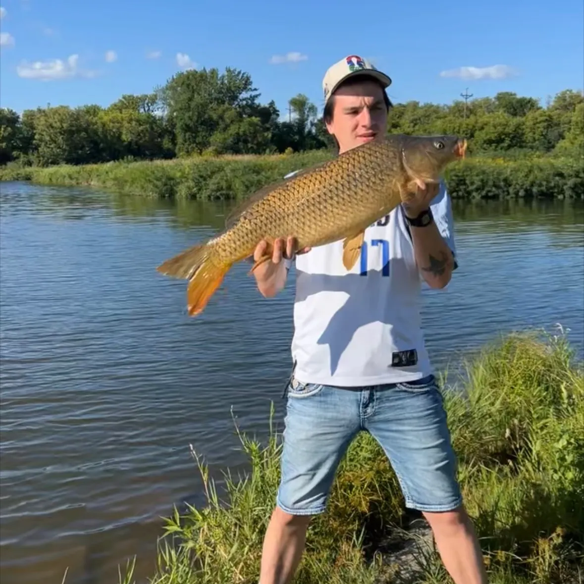 Common carp caught on Fishbrain