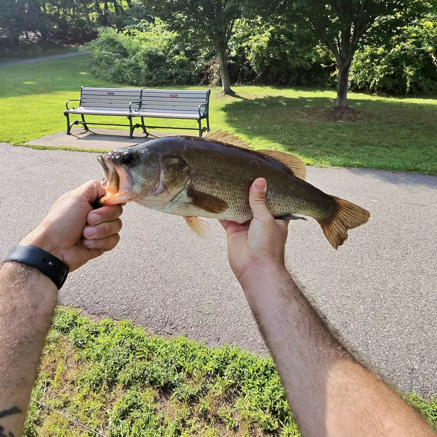 catch