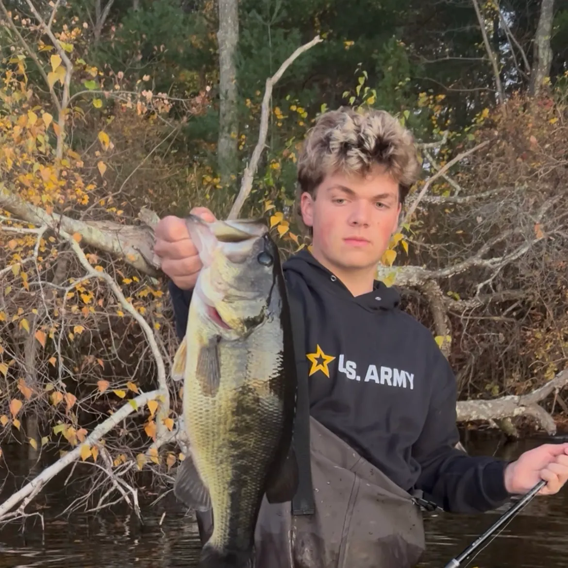 Largemouth bass caught on Fishbrain