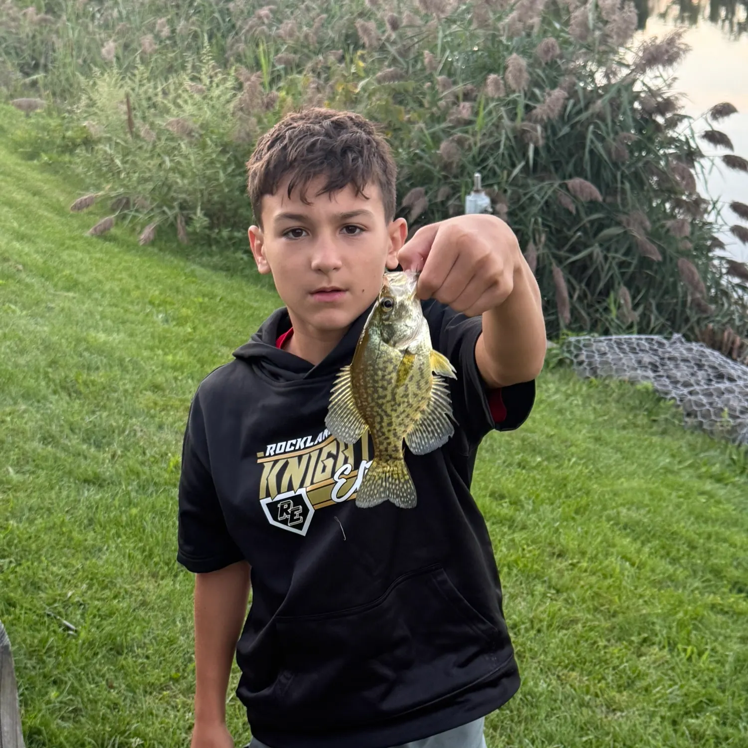 Black crappie caught on Fishbrain