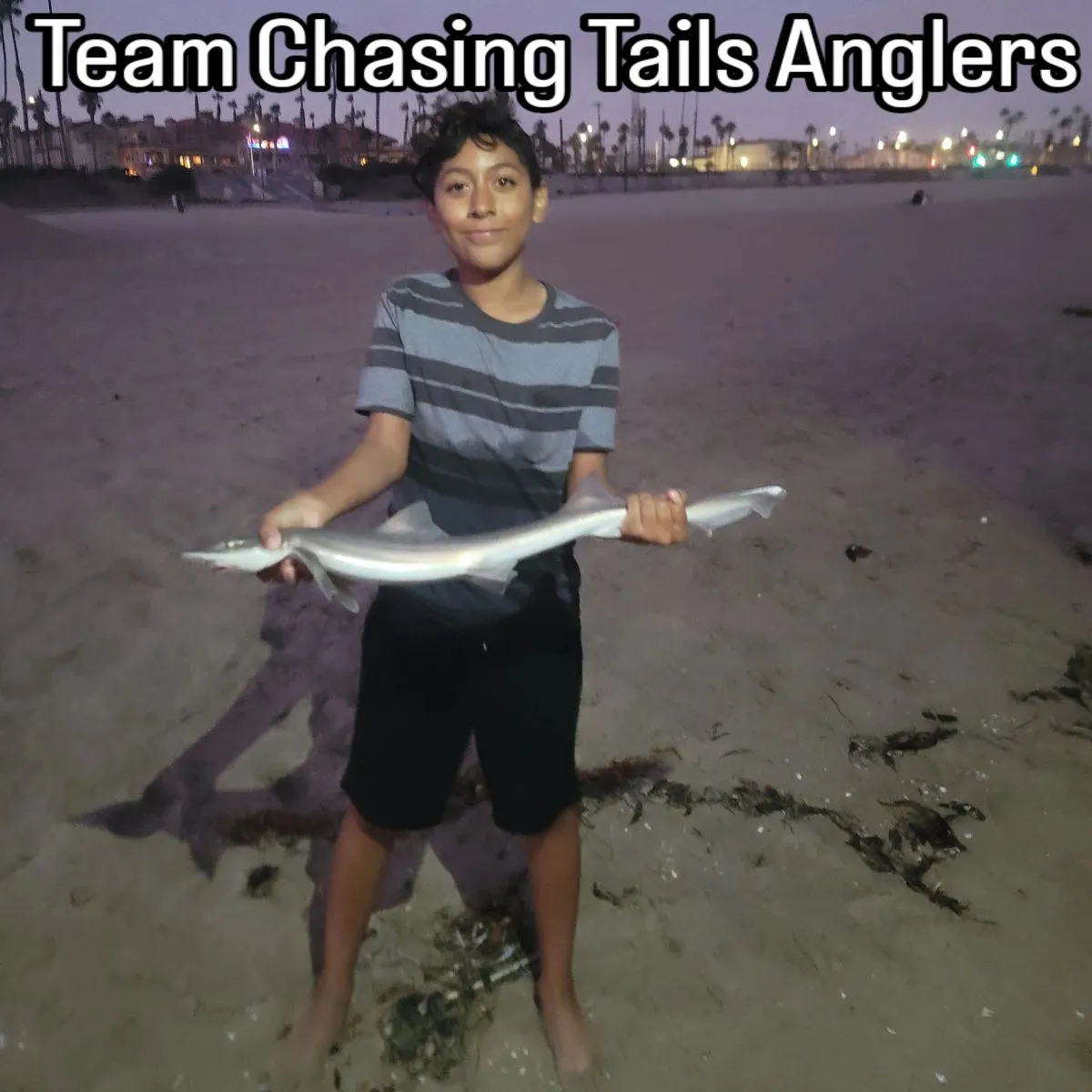 The most recent Grey smooth-hound catches on Fishbrain