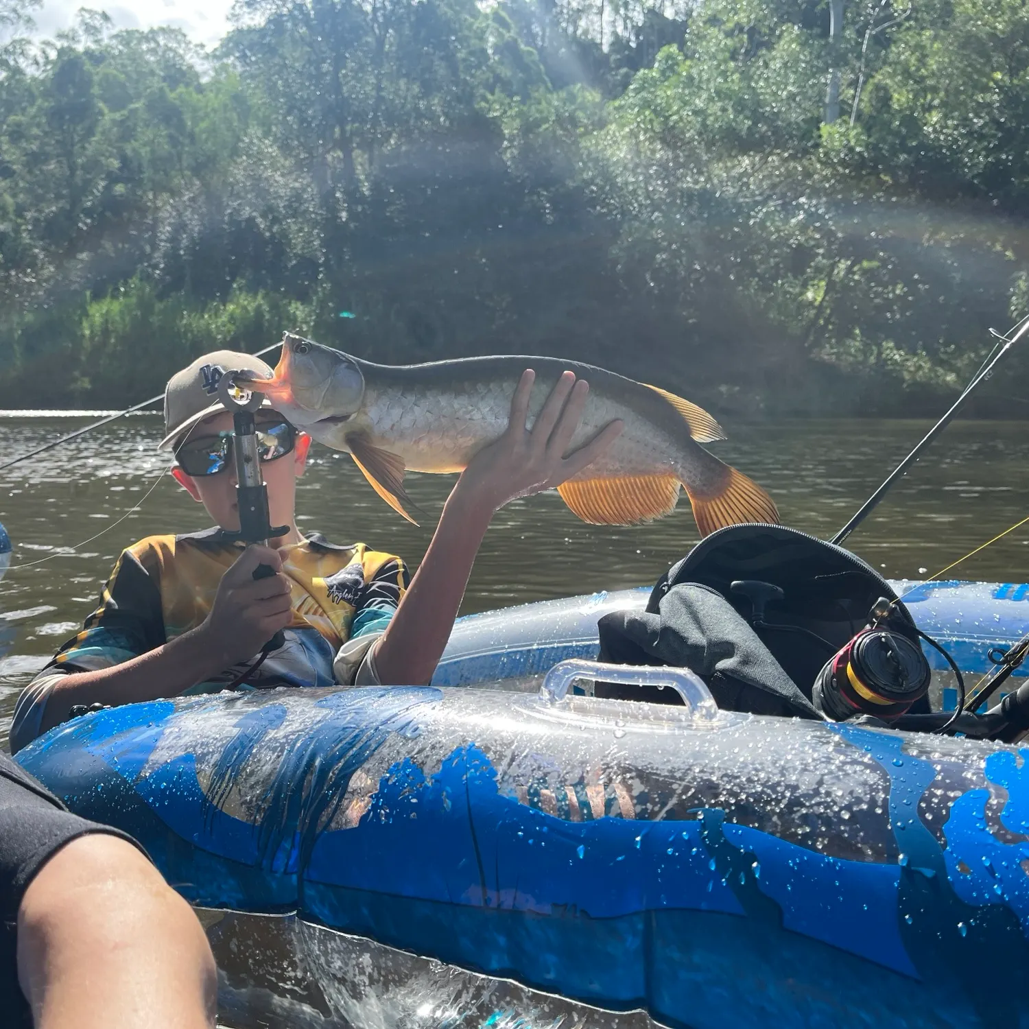 The most recent Spotted bonytongue catches on Fishbrain