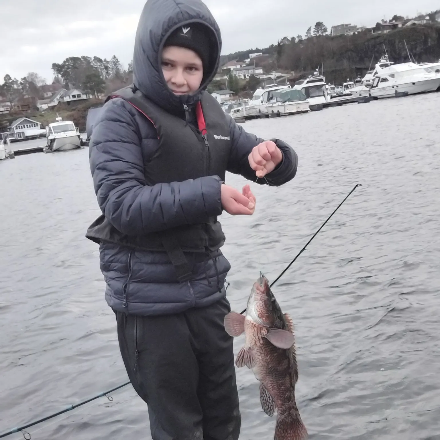 The most recent Ballan wrasse catches on Fishbrain