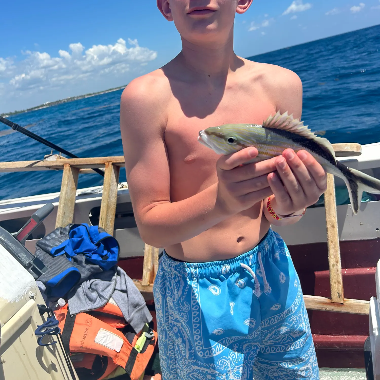 The most recent Golden trevally catches on Fishbrain