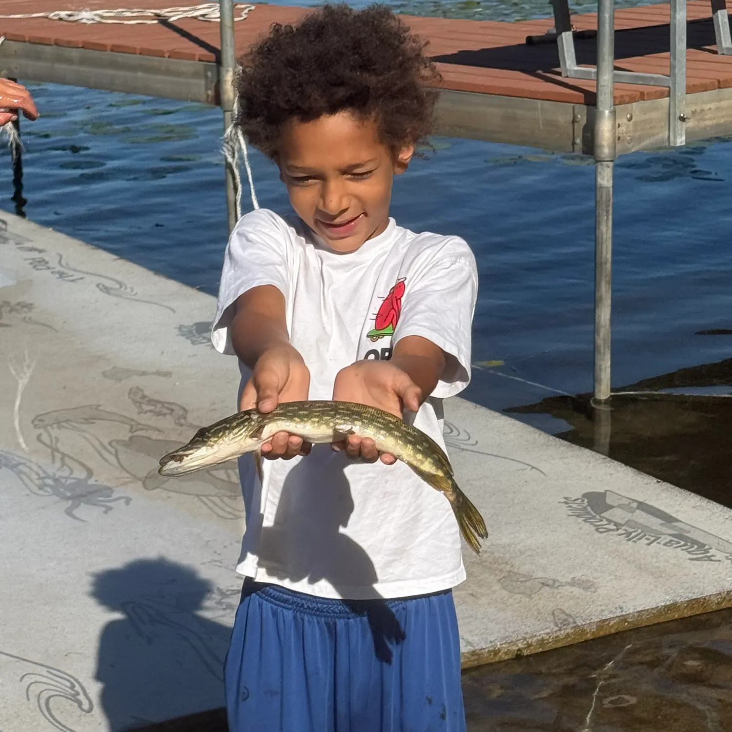 Fish caught on Fishbrain