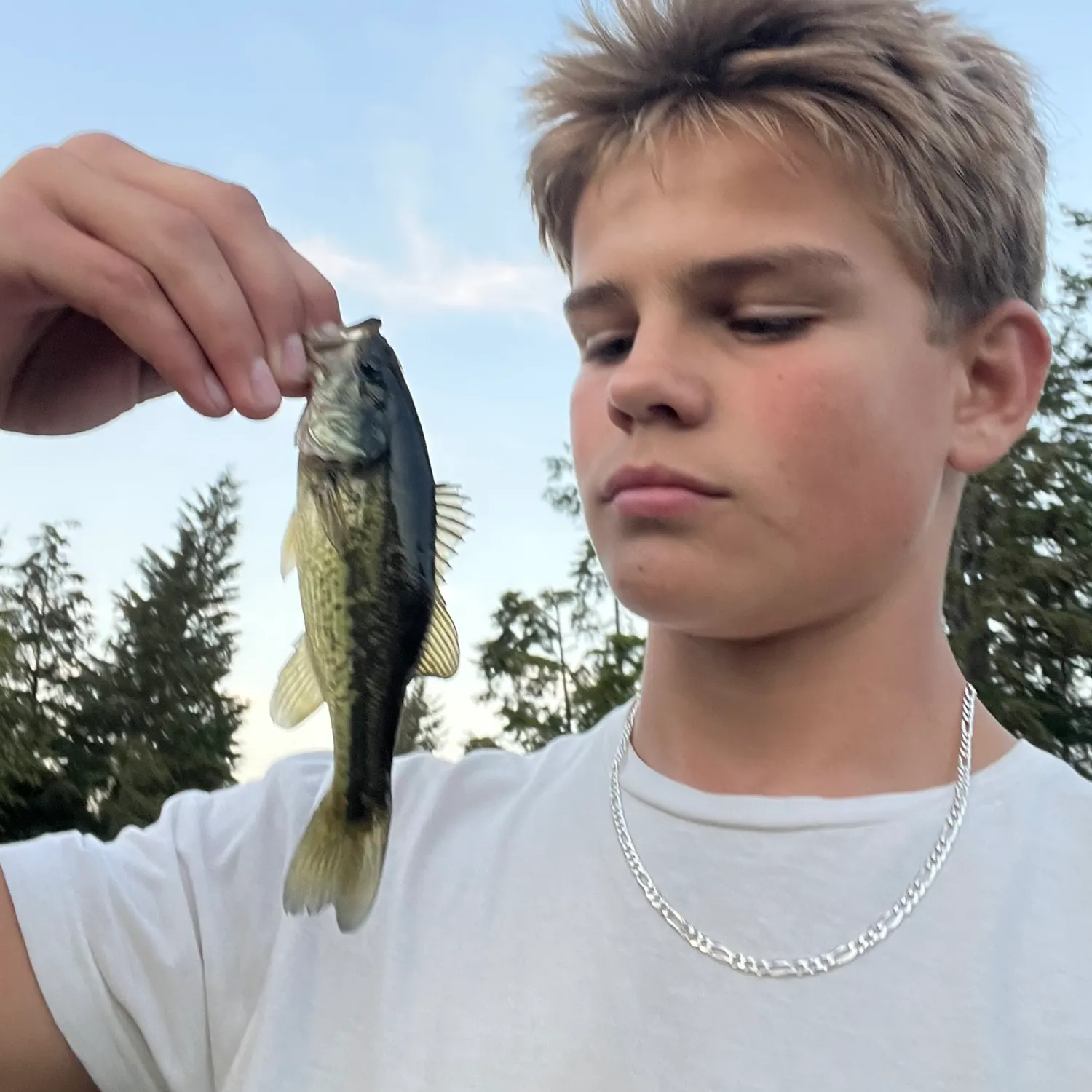 Spotted bass caught on Fishbrain
