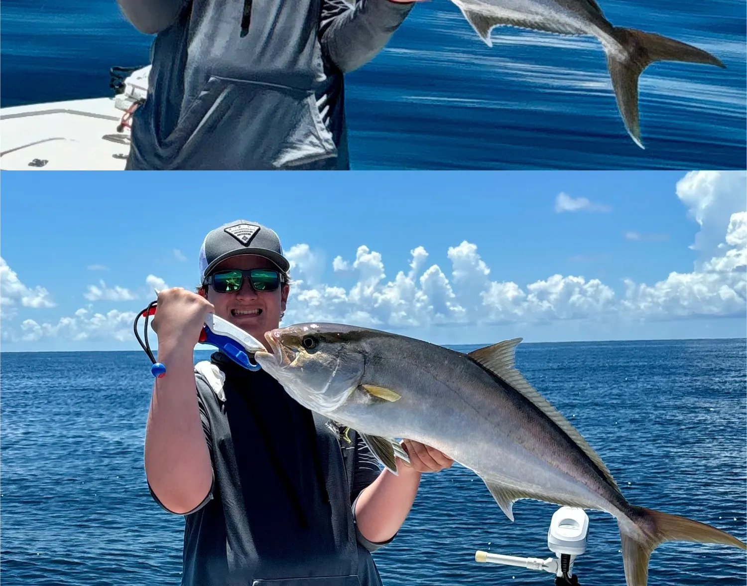 Greater amberjack