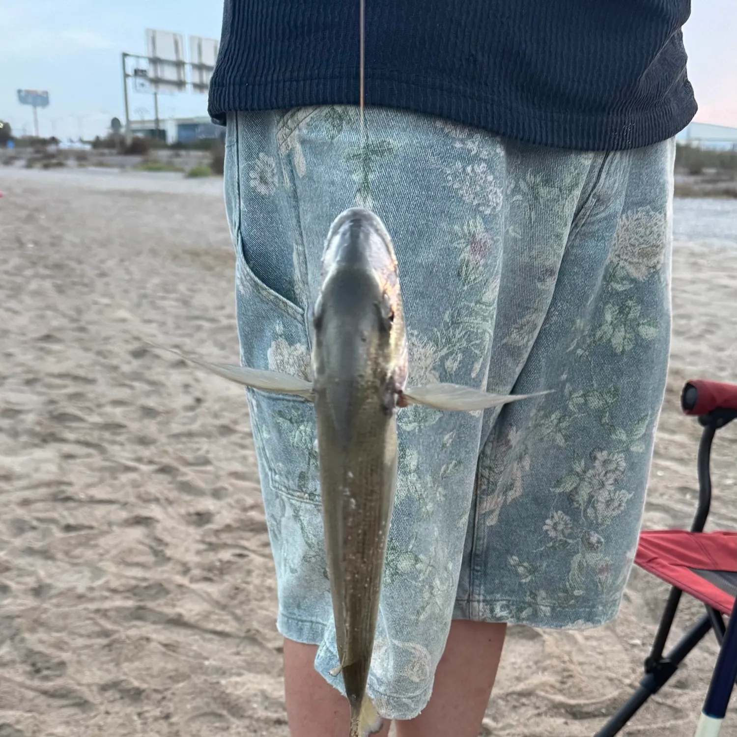 Fish caught on Fishbrain