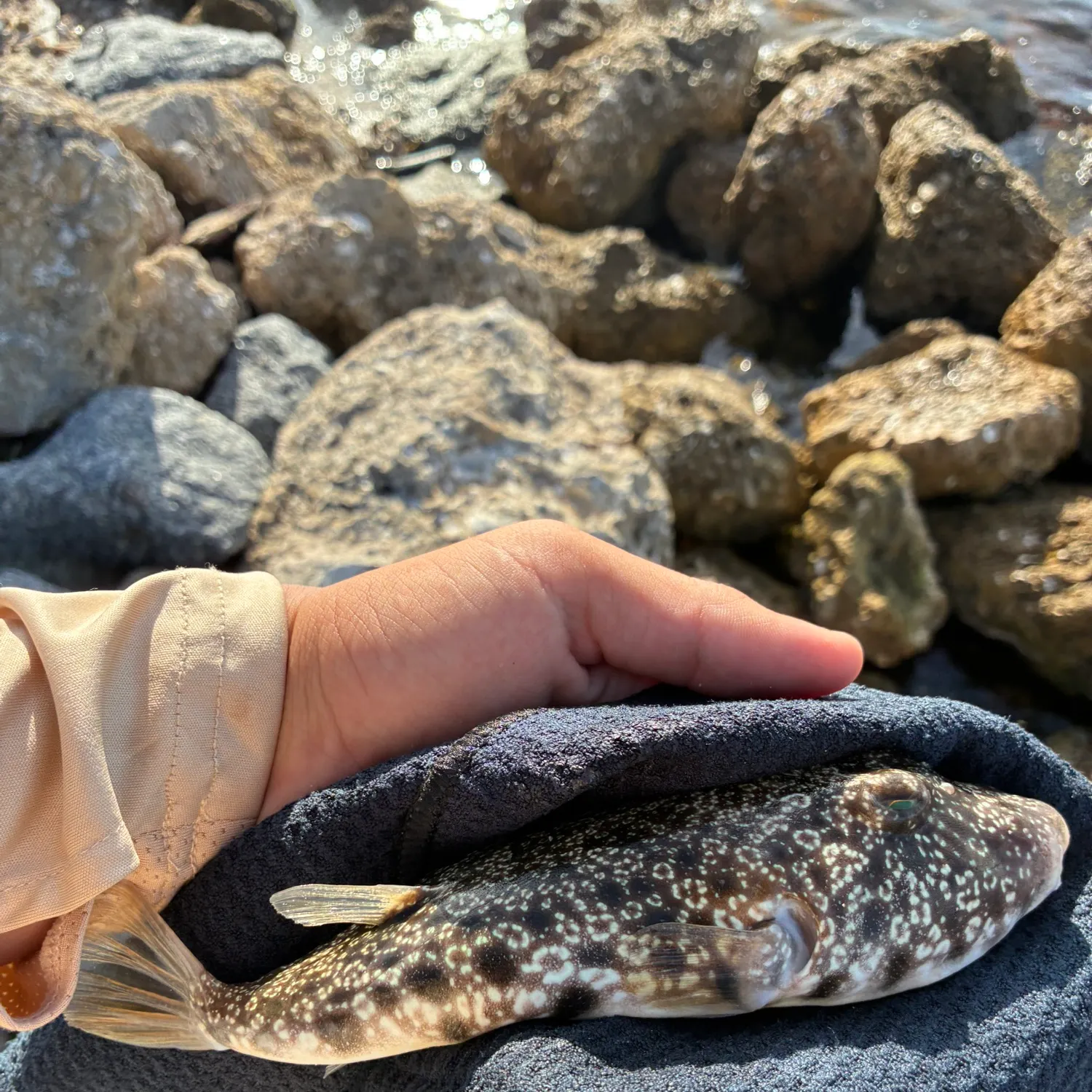 catch