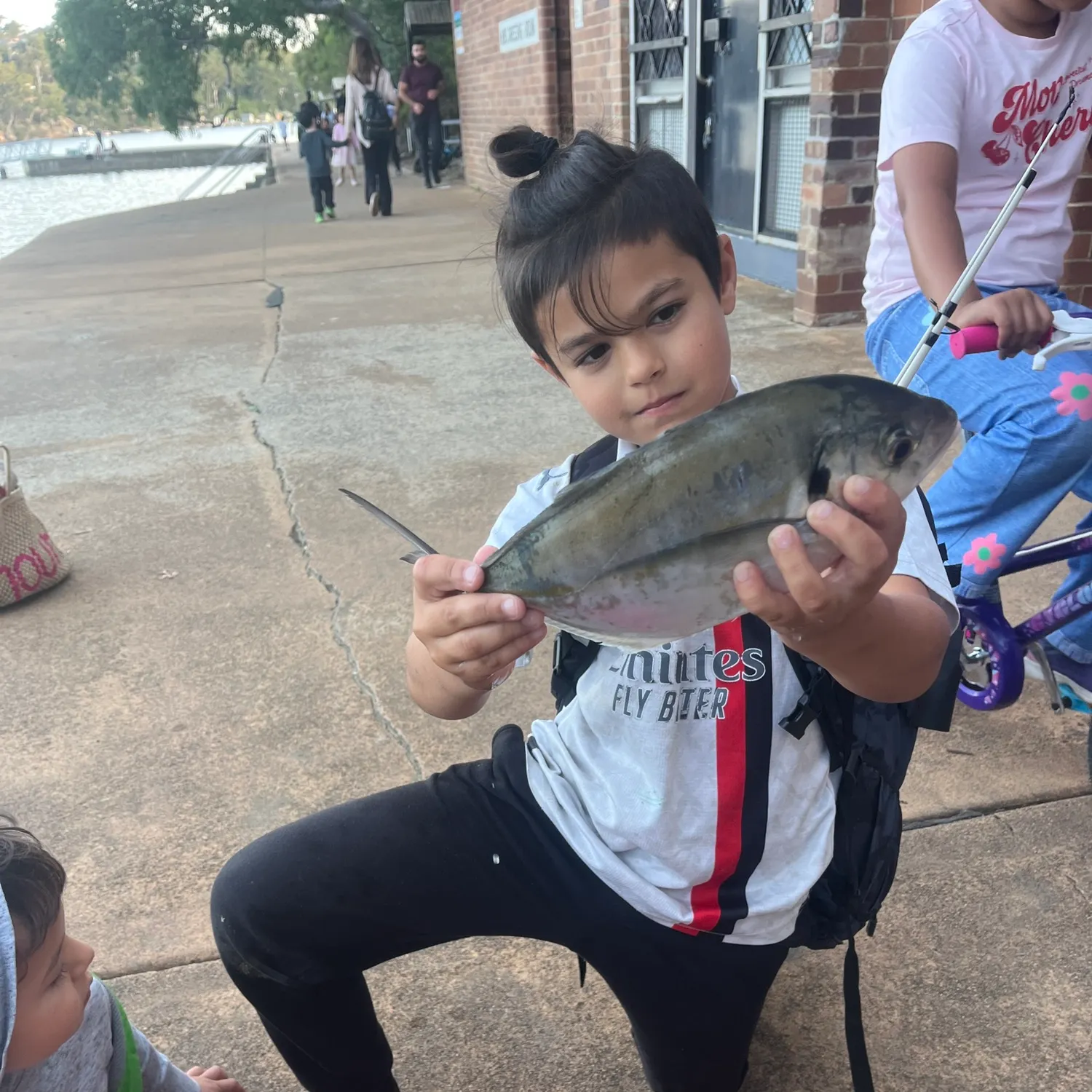 The most recent White trevally catches on Fishbrain