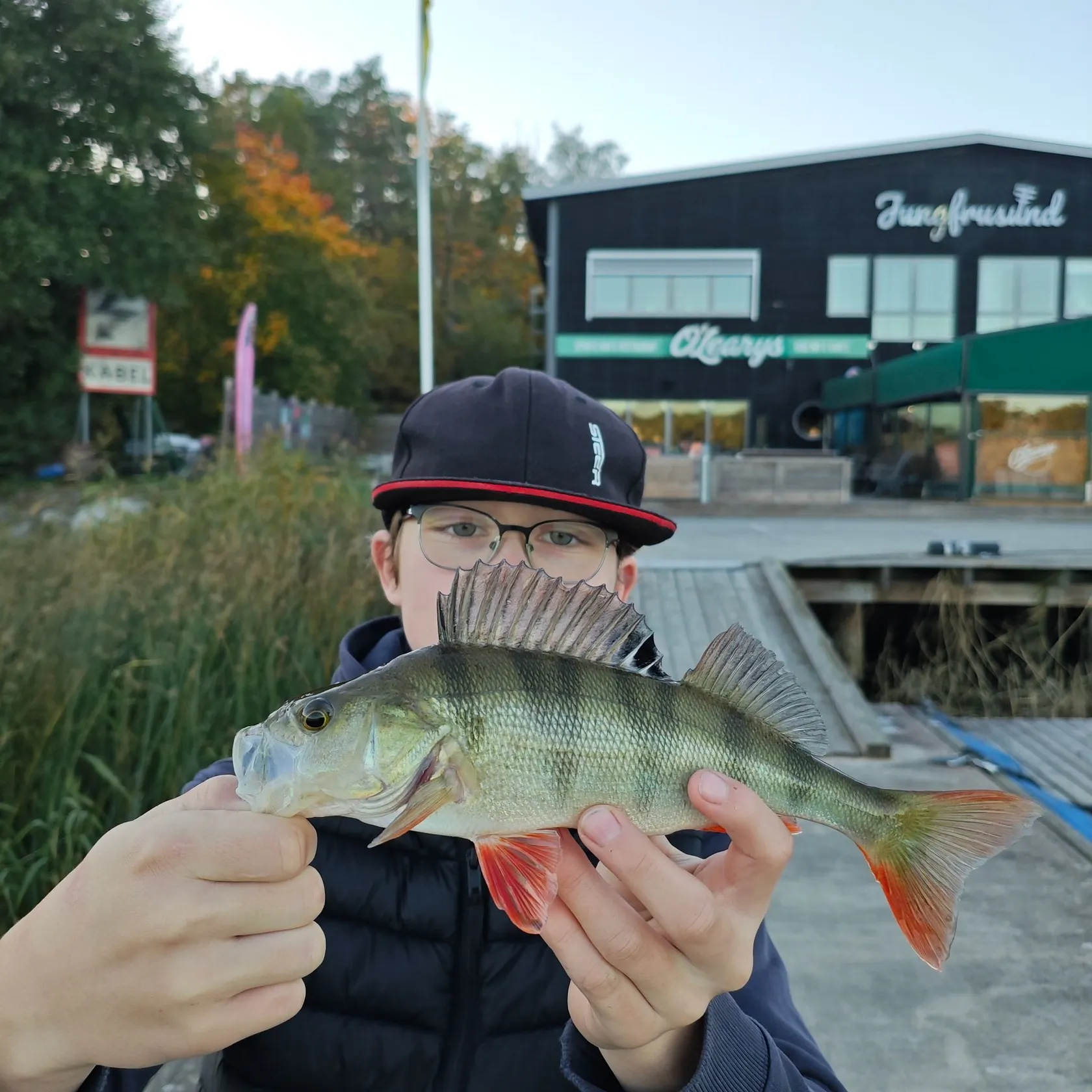 European perch caught on Fishbrain