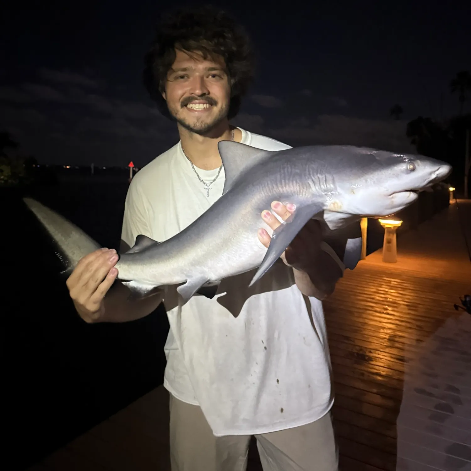 Bull shark caught on Fishbrain