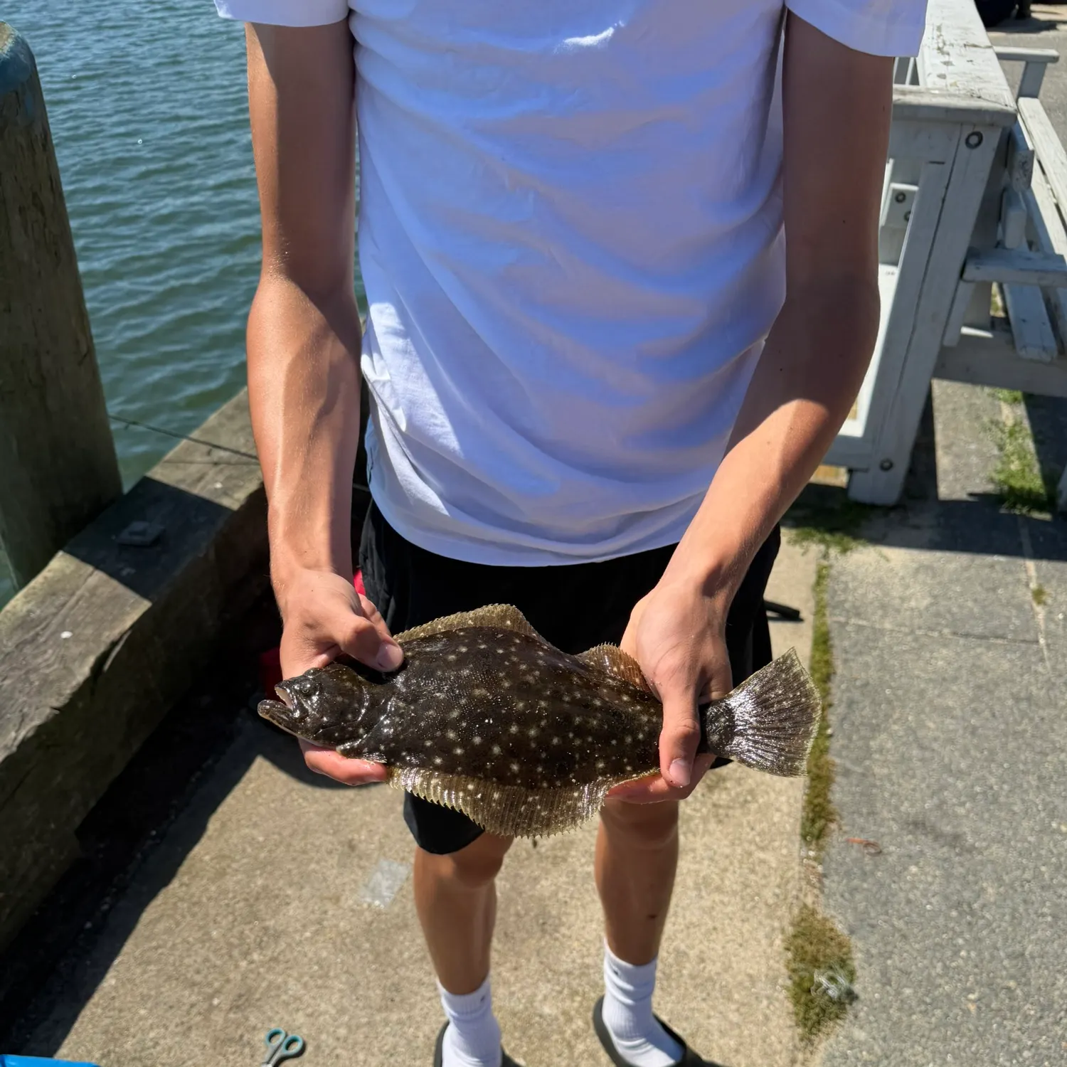 Summer flounder caught on Fishbrain