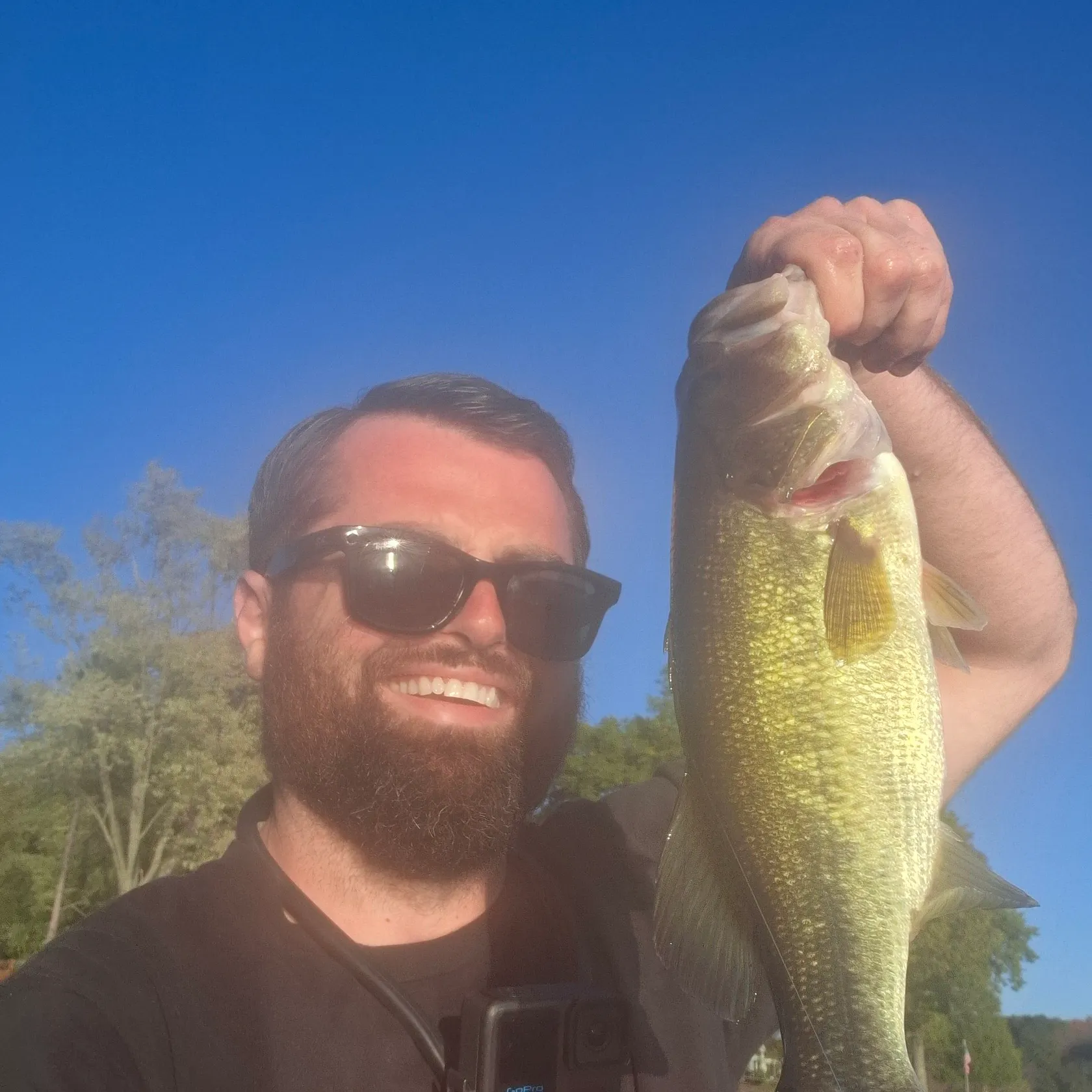 Largemouth bass caught on Fishbrain