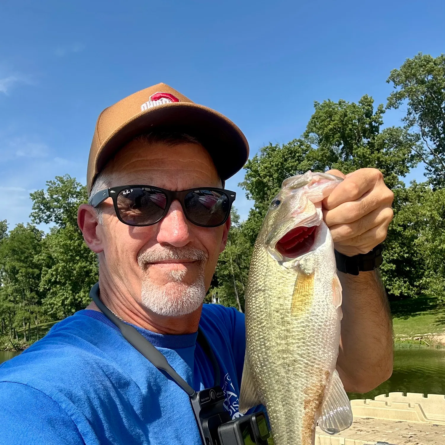 Largemouth bass caught on Fishbrain