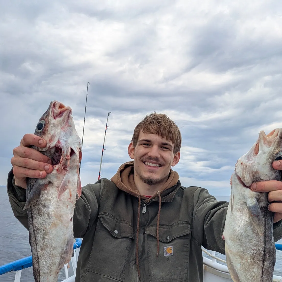 The most recent Haddock catches on Fishbrain