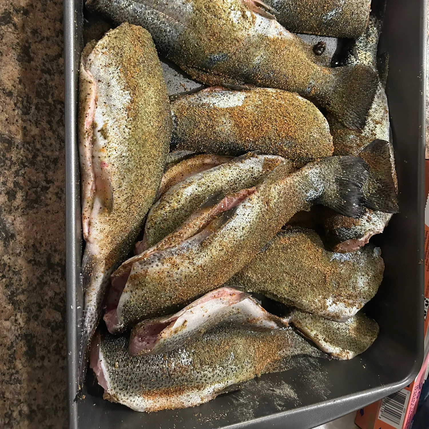 recently logged catches