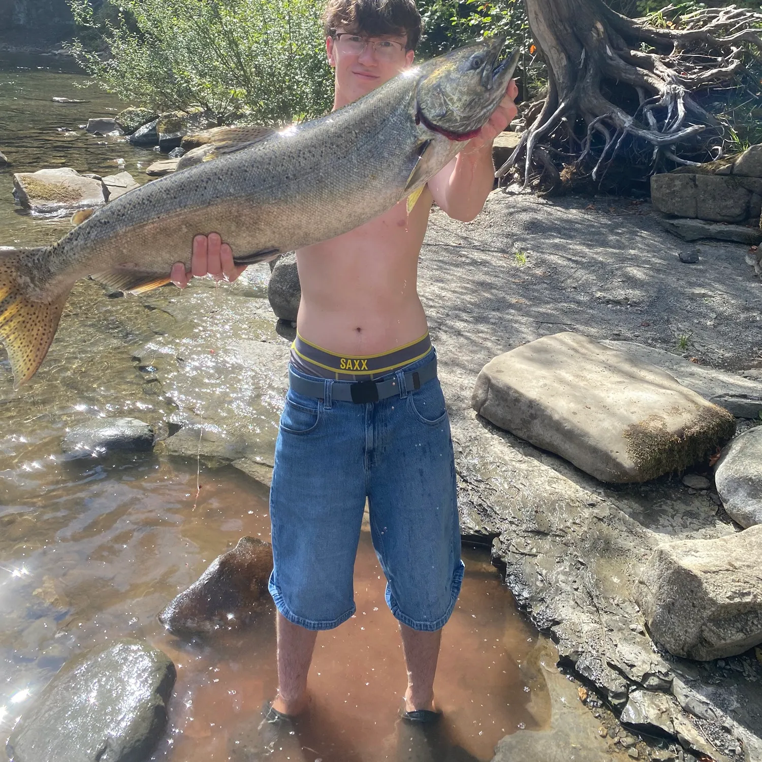 Chinook salmon caught on Fishbrain